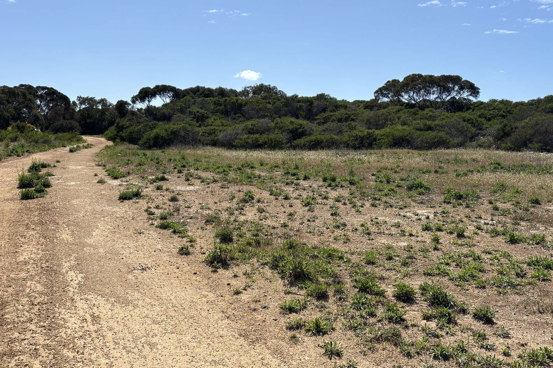Lot 9,  Flinders Highway, Wangary For Sale by Farmbuy.com - image 27