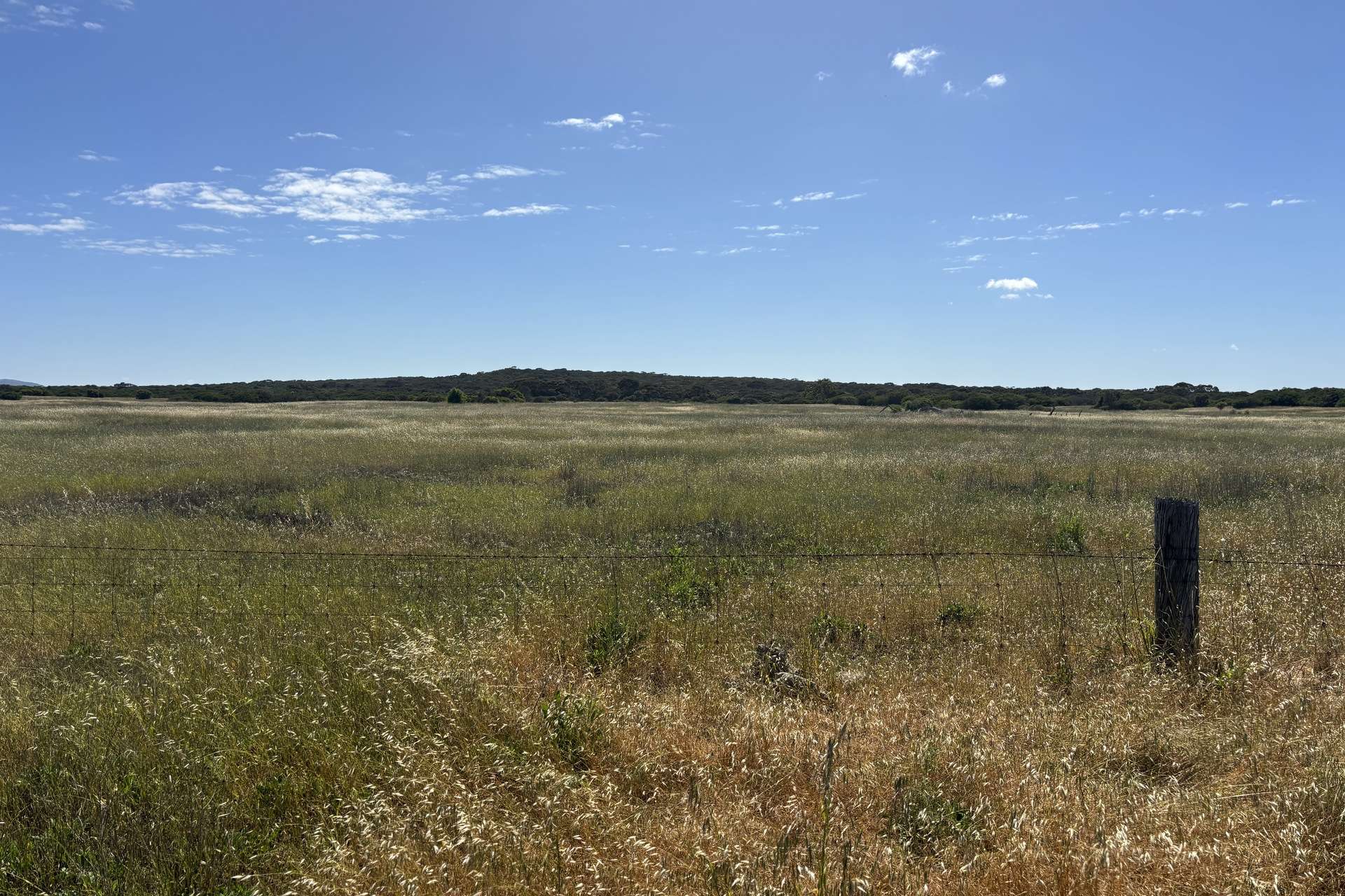 Lot 9,  Flinders Highway, Wangary For Sale by Farmbuy.com - image 20