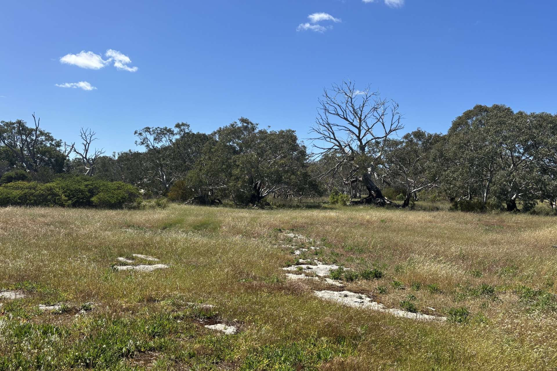 Lot 9,  Flinders Highway, Wangary For Sale by Farmbuy.com - image 19