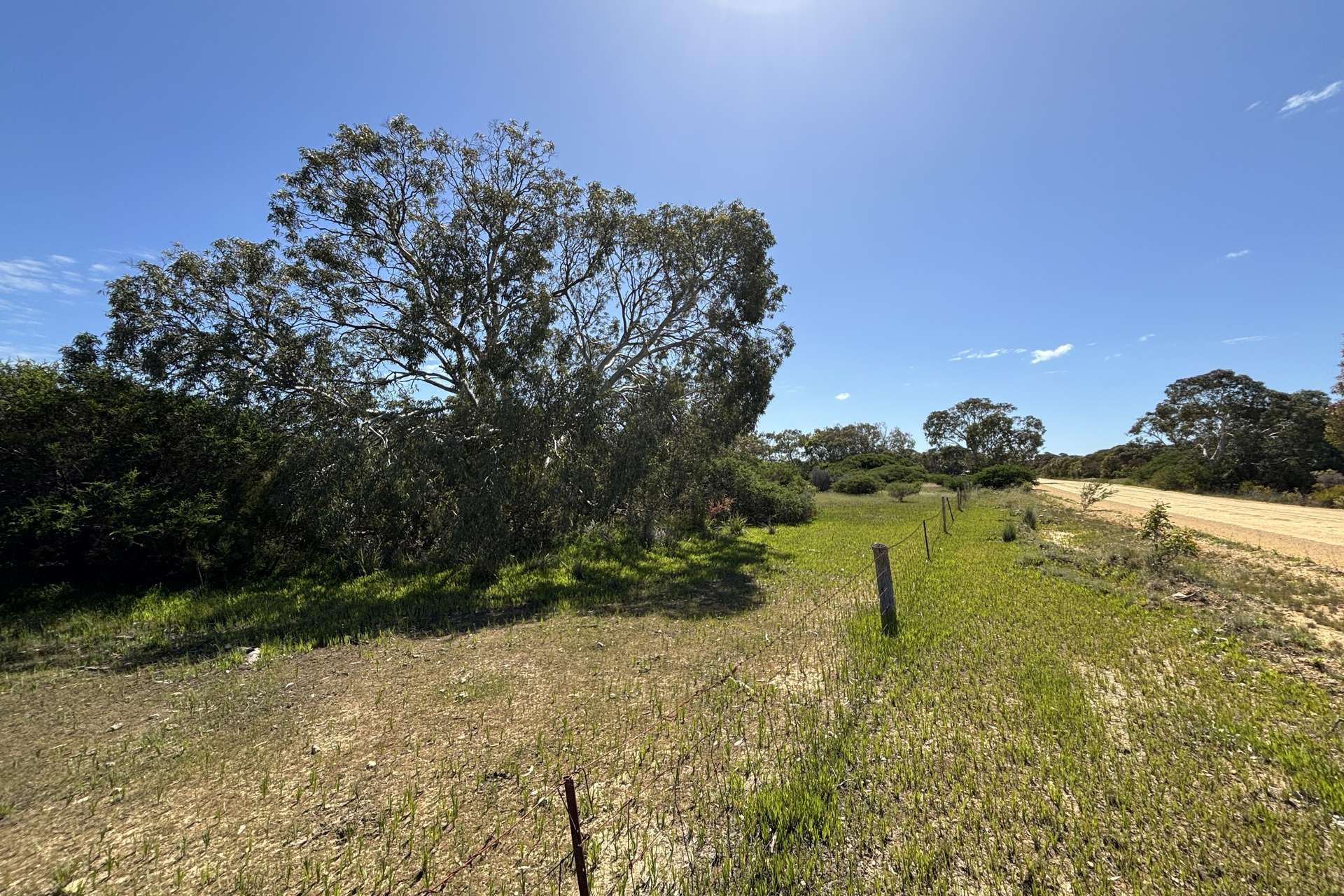 Lot 9,  Flinders Highway, Wangary For Sale by Farmbuy.com - image 2