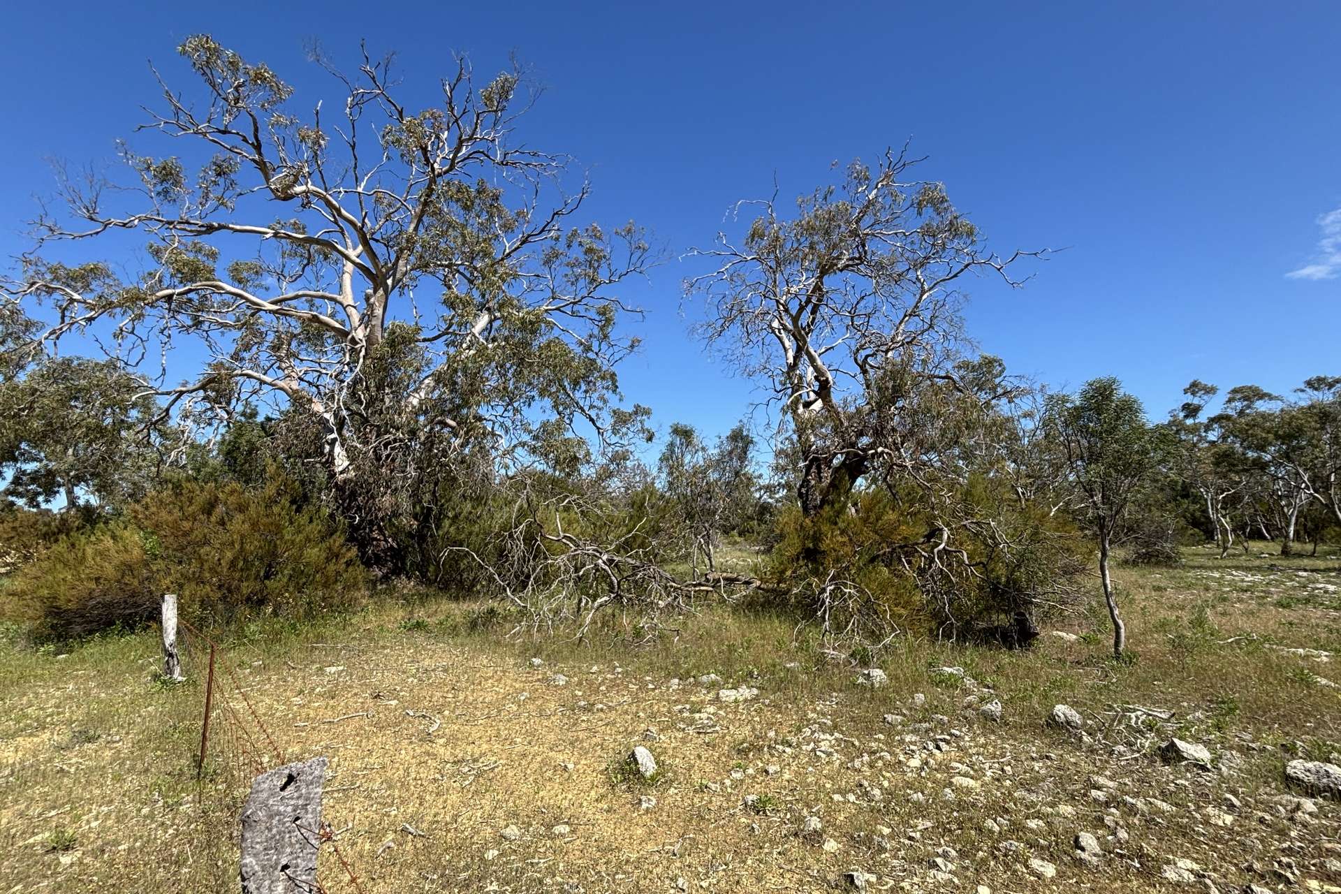 Lot 9,  Flinders Highway, Wangary For Sale by Farmbuy.com - image 13