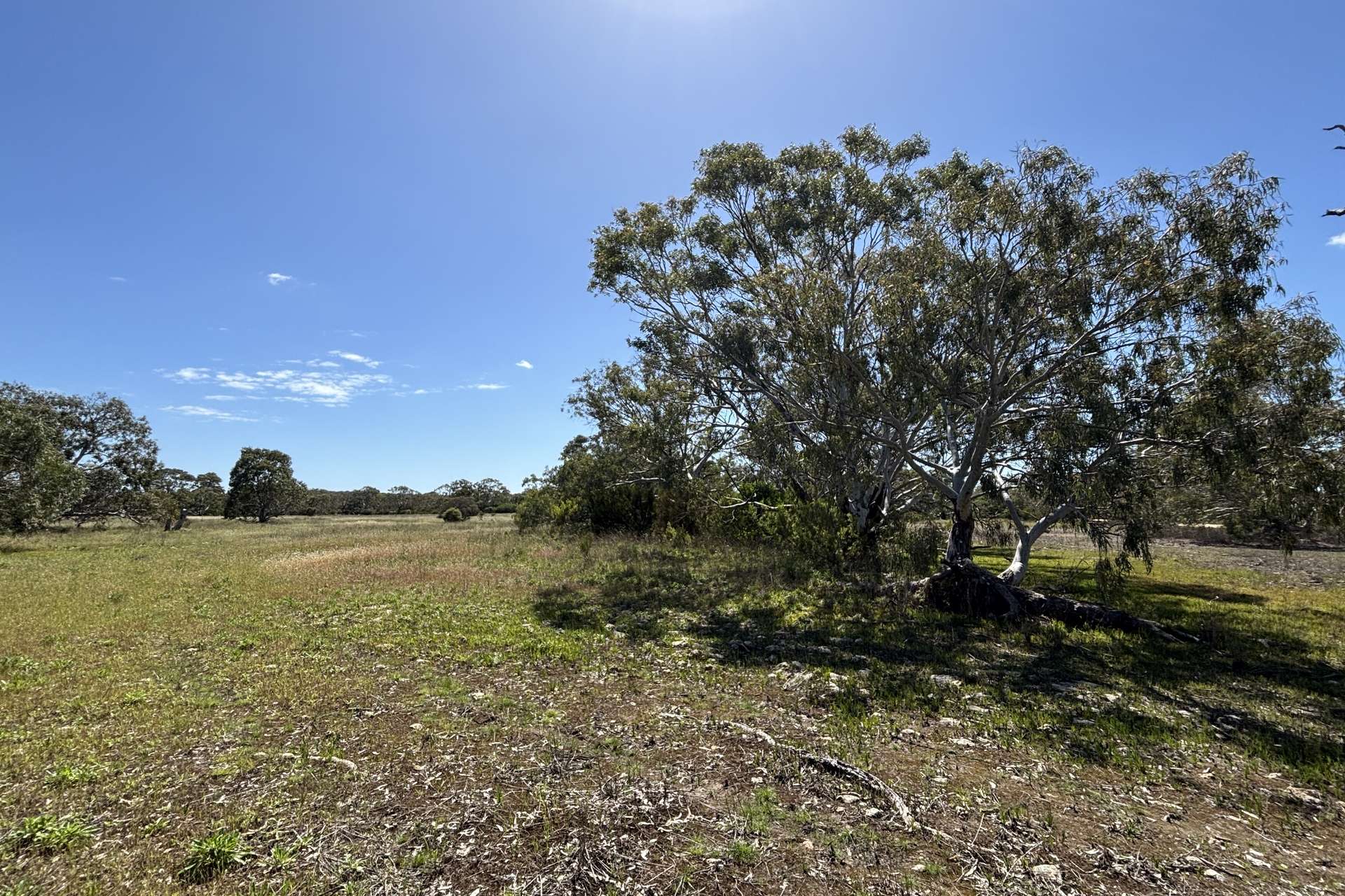 Lot 9,  Flinders Highway, Wangary For Sale by Farmbuy.com - image 23
