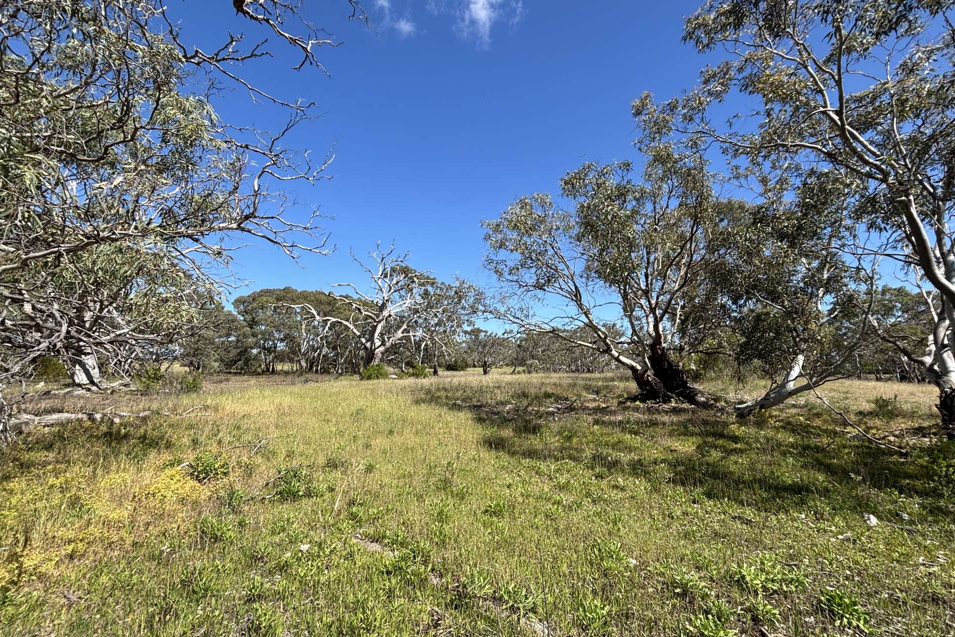 Lot 9,  Flinders Highway, Wangary For Sale by Farmbuy.com - image 15