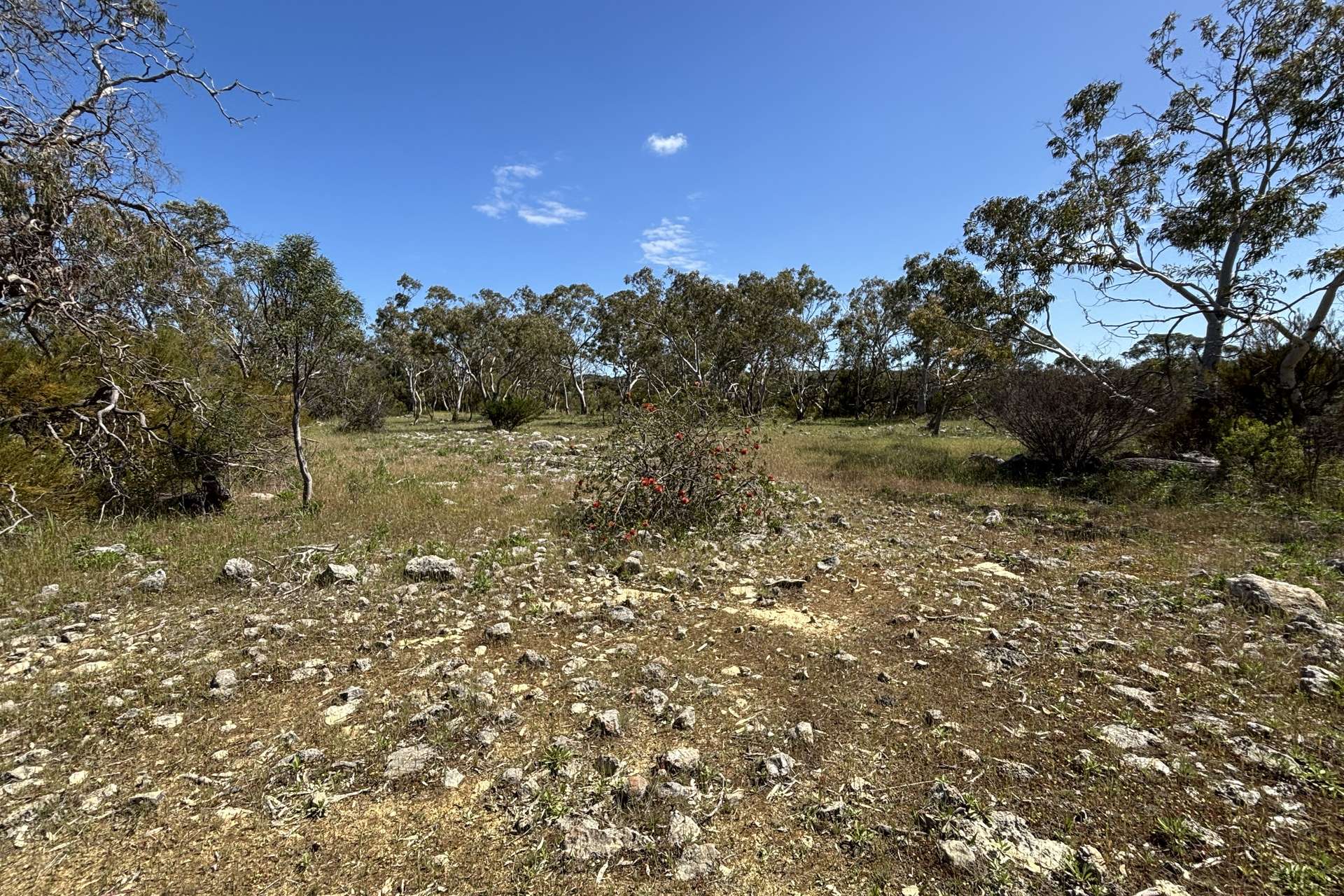 Lot 9,  Flinders Highway, Wangary For Sale by Farmbuy.com - image 17
