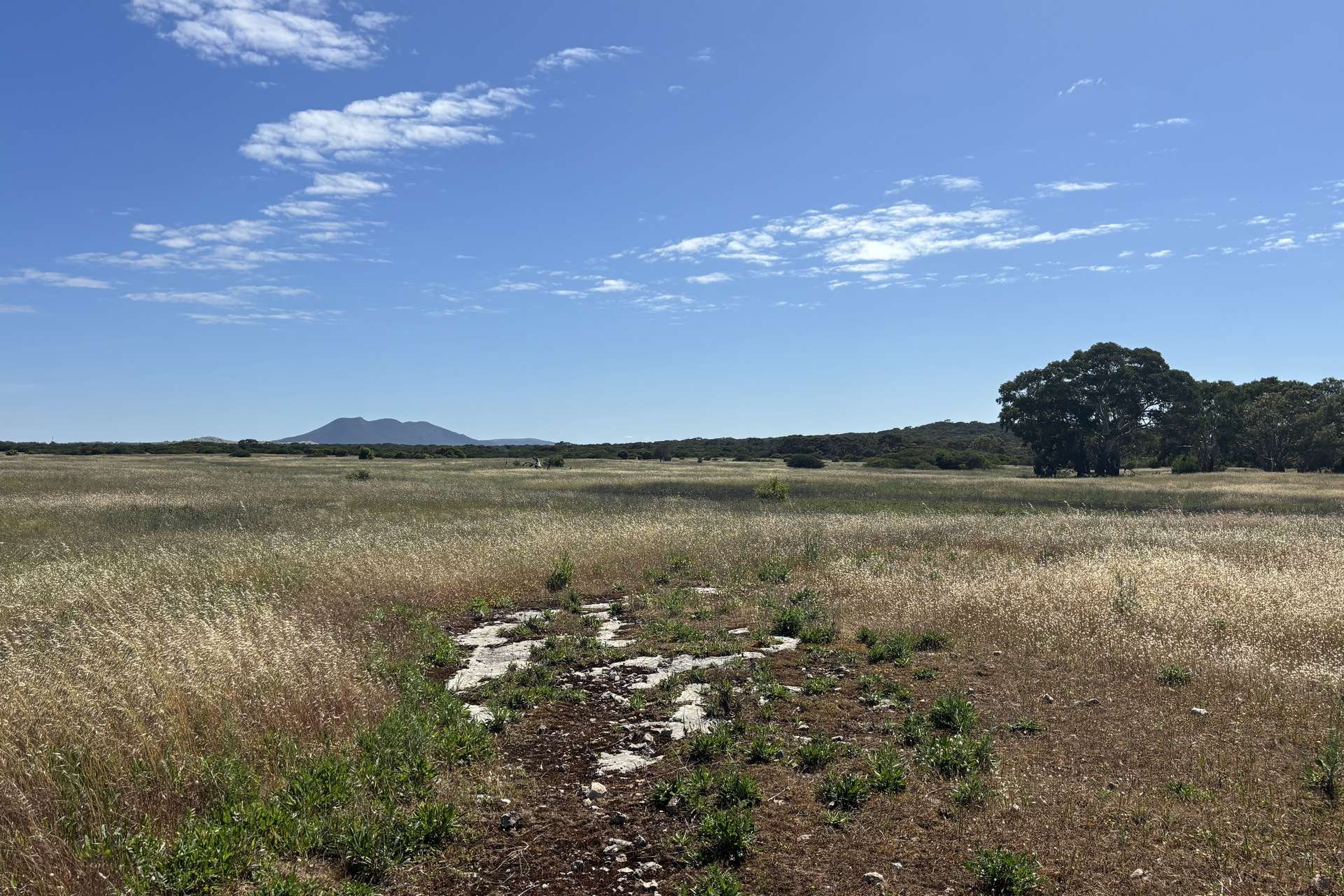 Lot 9,  Flinders Highway, Wangary For Sale by Farmbuy.com - image 24