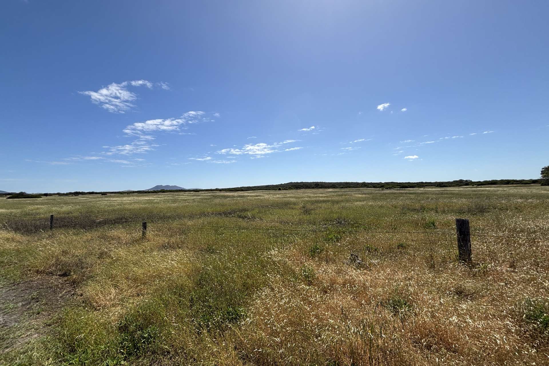 Lot 9,  Flinders Highway, Wangary For Sale by Farmbuy.com - image 21