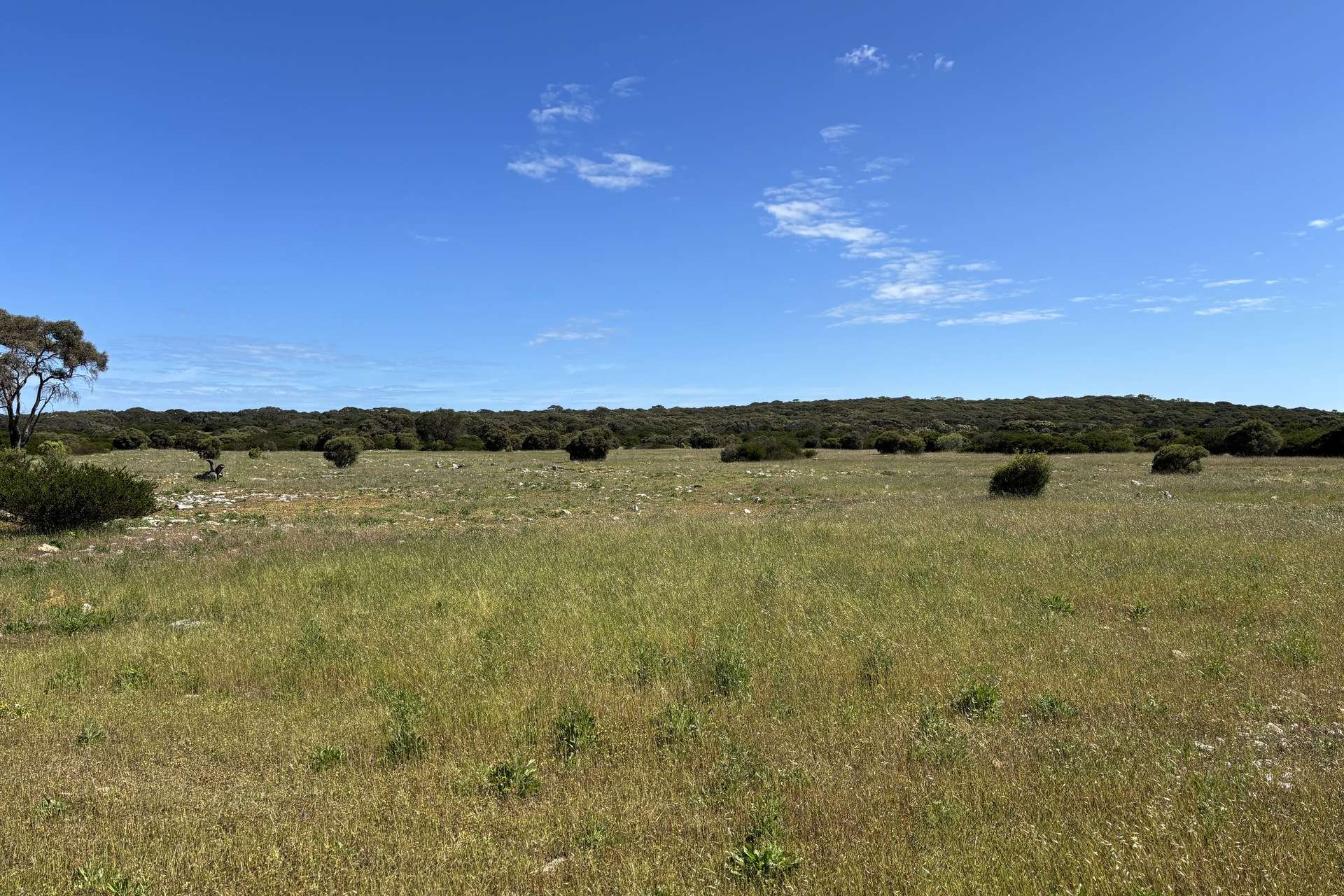 Lot 9,  Flinders Highway, Wangary For Sale by Farmbuy.com - image 16