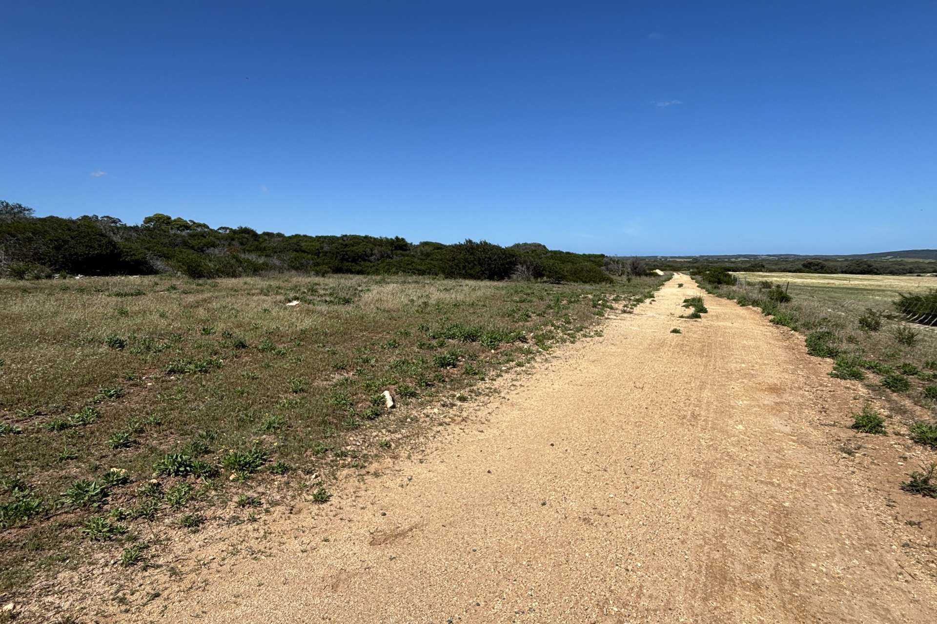 Lot 9,  Flinders Highway, Wangary For Sale by Farmbuy.com - image 25
