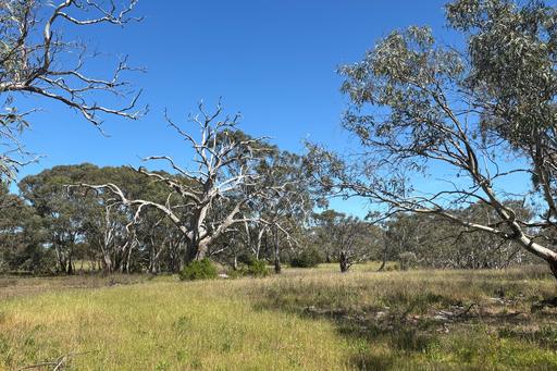 Lot 9&comma; Flinders Highway, Wangary SA 5607