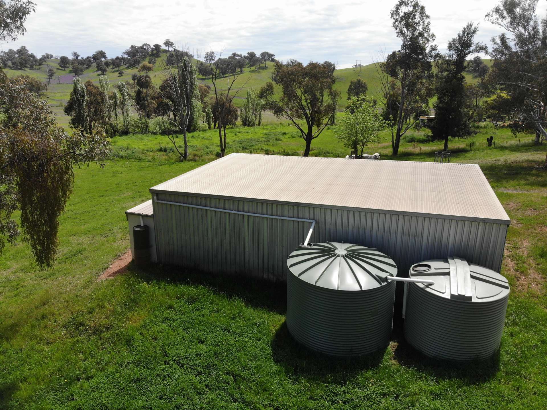 29 Smarts Road, Gocup For Sale by Farmbuy.com - image 5