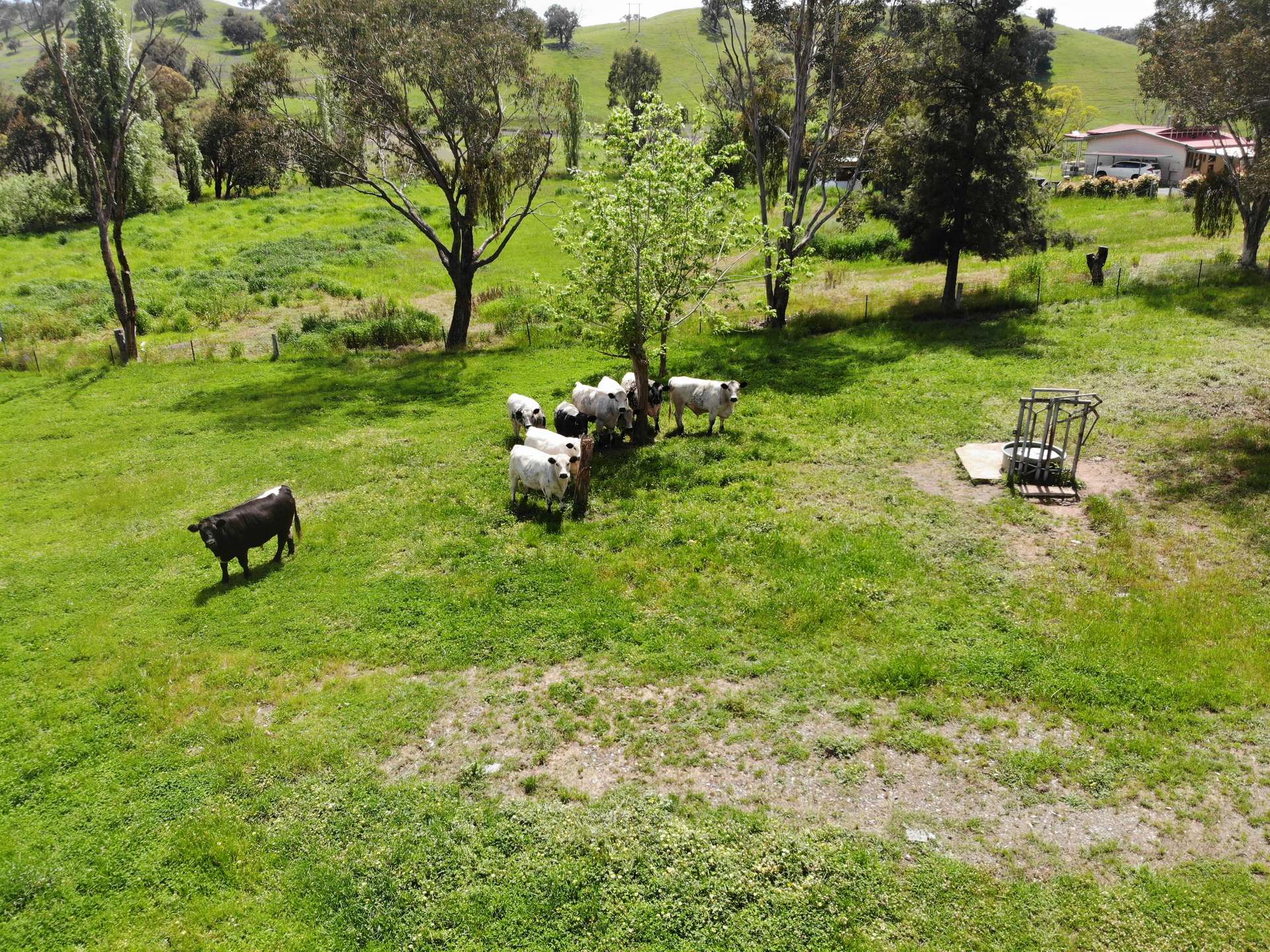 29 Smarts Road, Gocup For Sale by Farmbuy.com - image 3