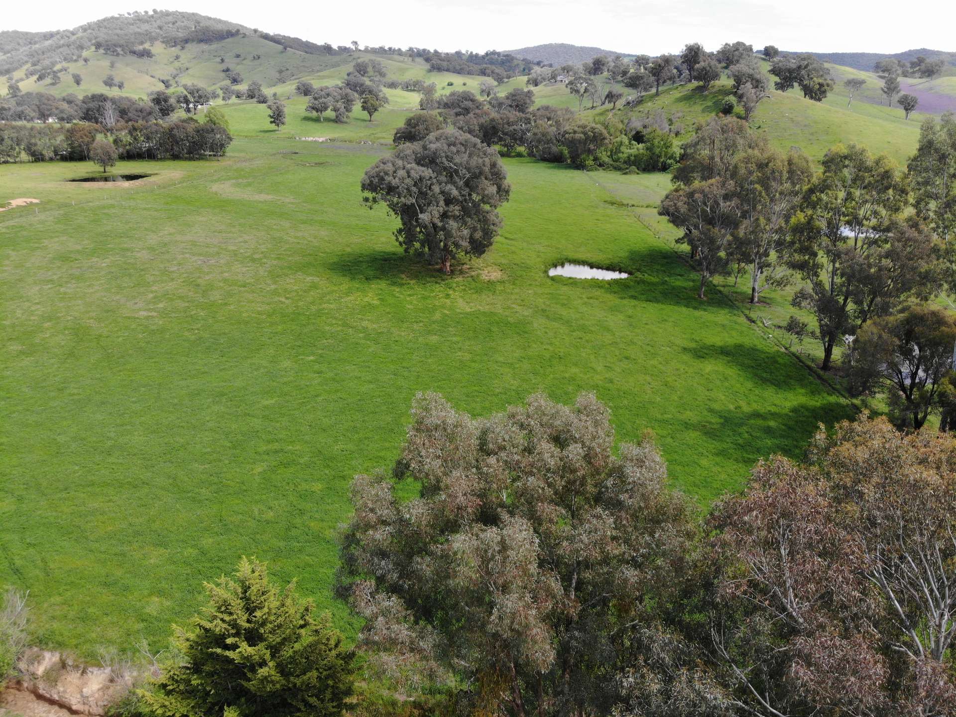 29 Smarts Road, Gocup For Sale by Farmbuy.com - image 8