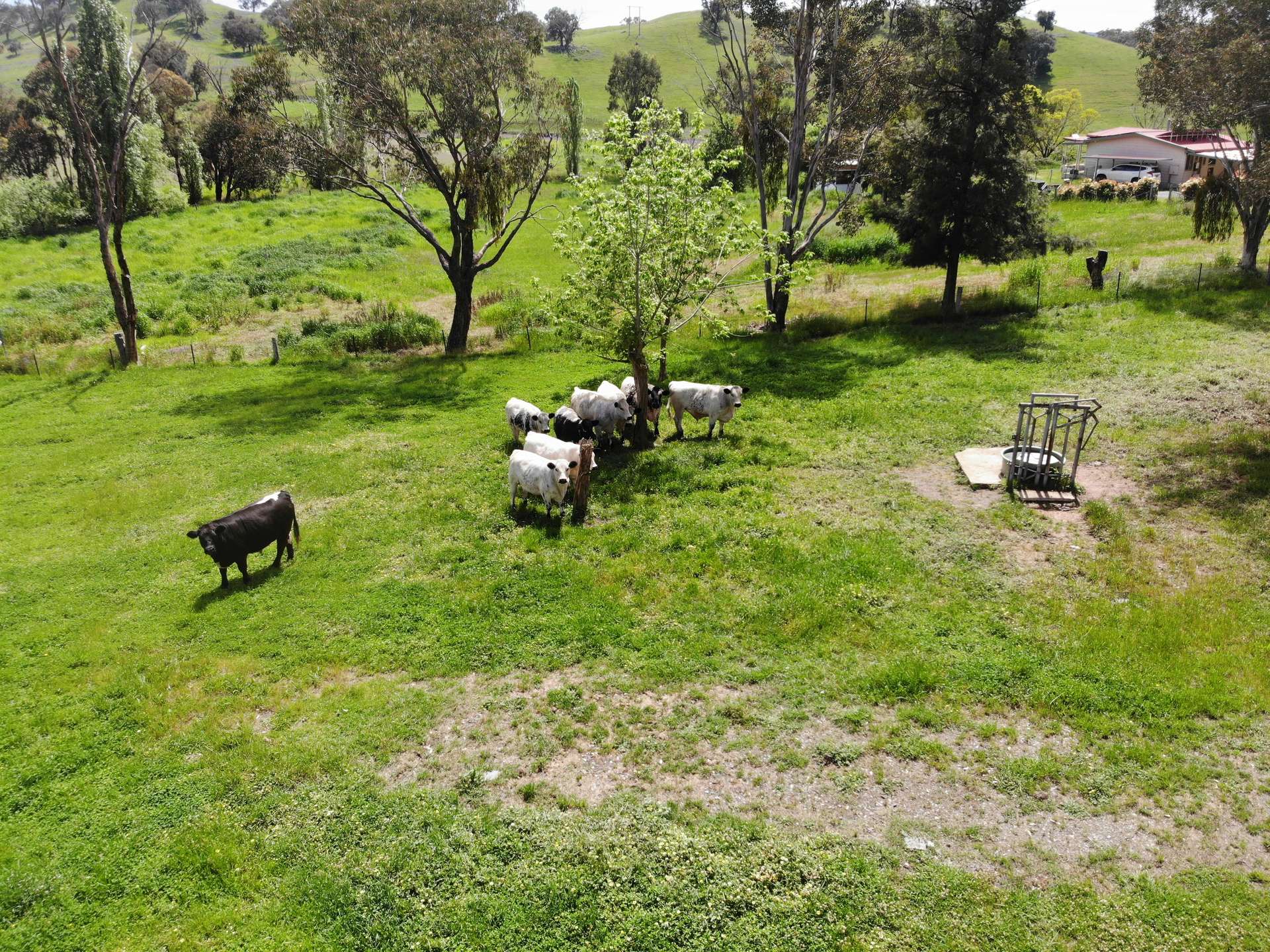 29 Smarts Road, Gocup For Sale by Farmbuy.com - image 6