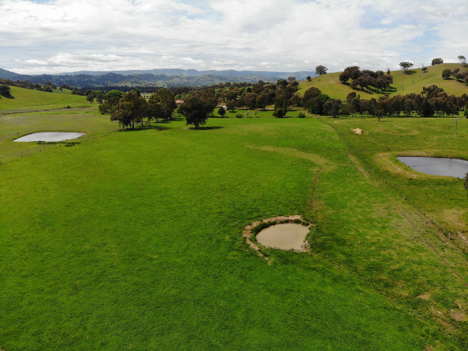 29 Smarts Road, Gocup For Sale by Farmbuy.com - image 2