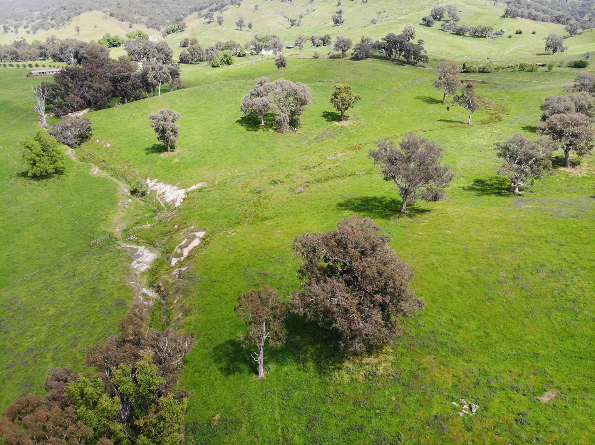 29 Smarts Road, Gocup For Sale by Farmbuy.com - image 10