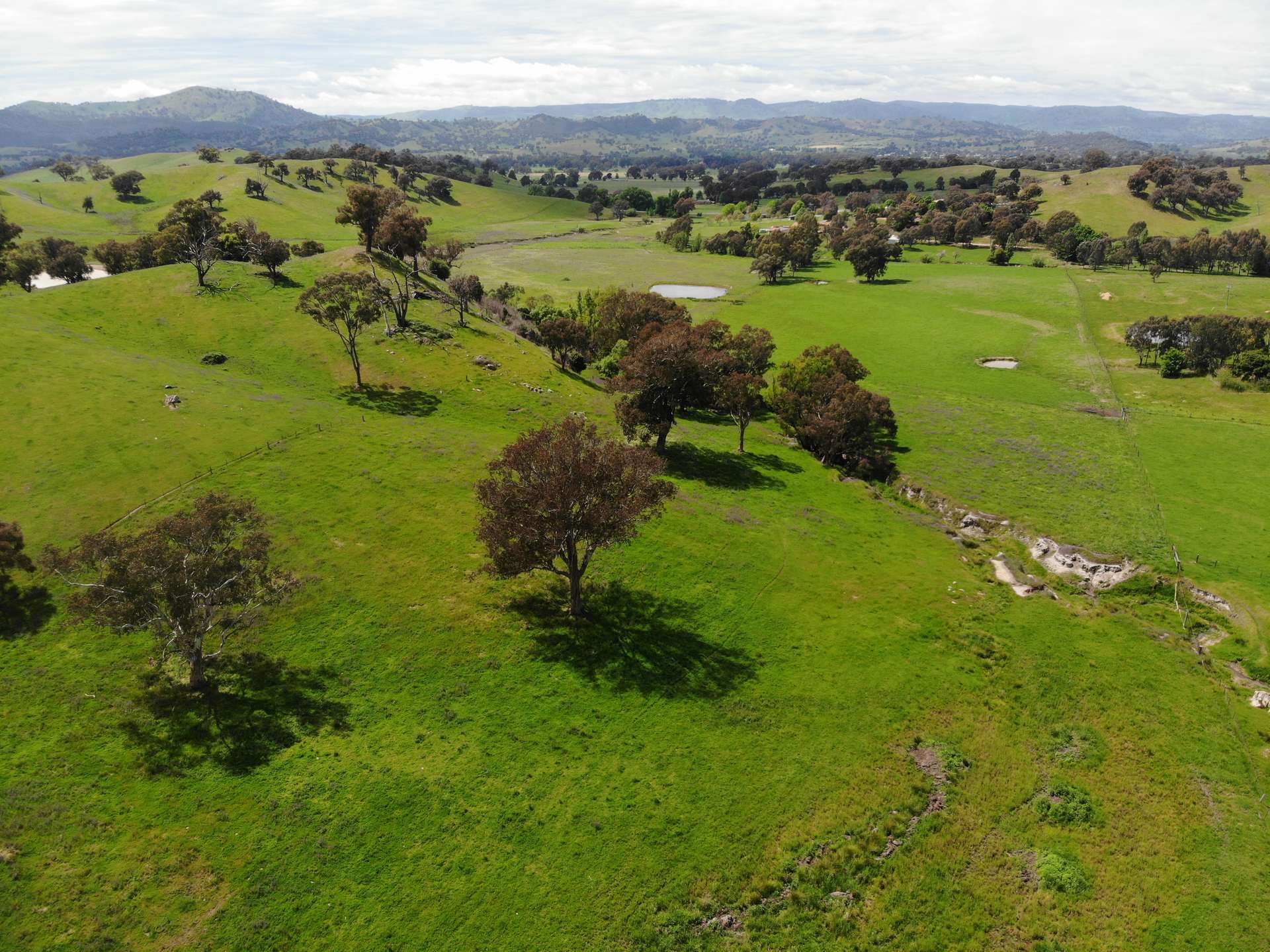 29 Smarts Road, Gocup For Sale by Farmbuy.com - image 13