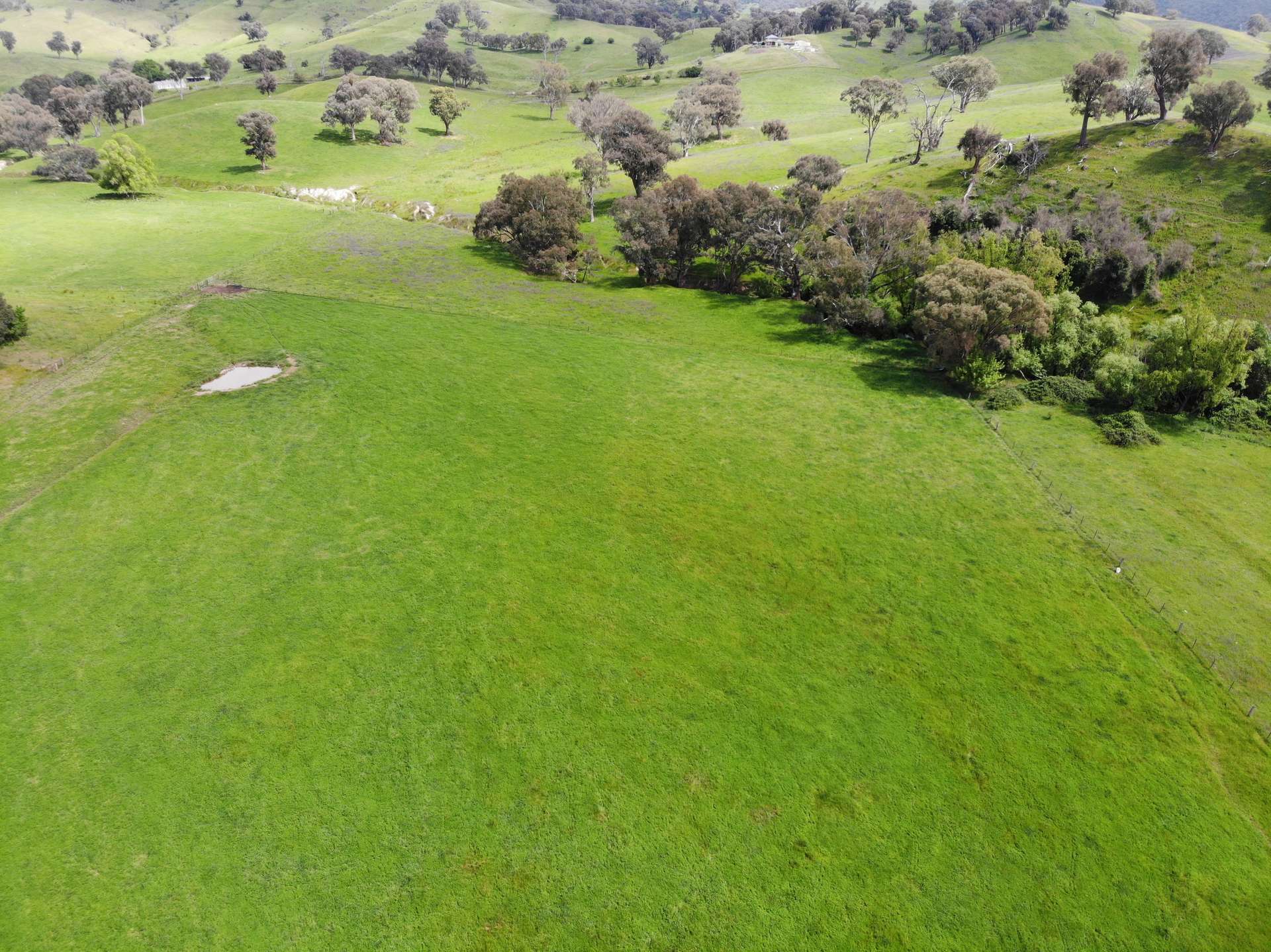 29 Smarts Road, Gocup For Sale by Farmbuy.com - image 9