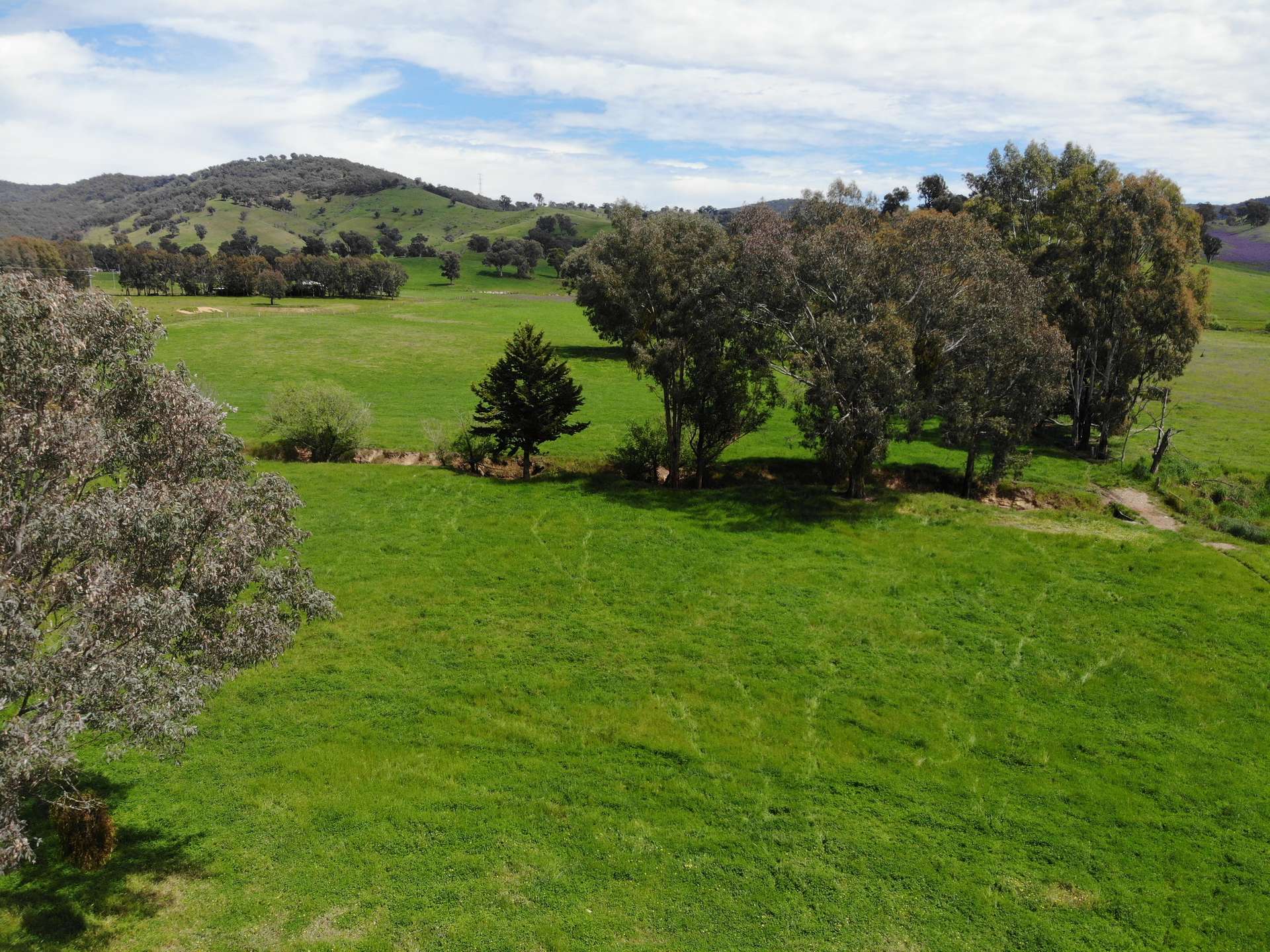 29 Smarts Road, Gocup For Sale by Farmbuy.com - image 7