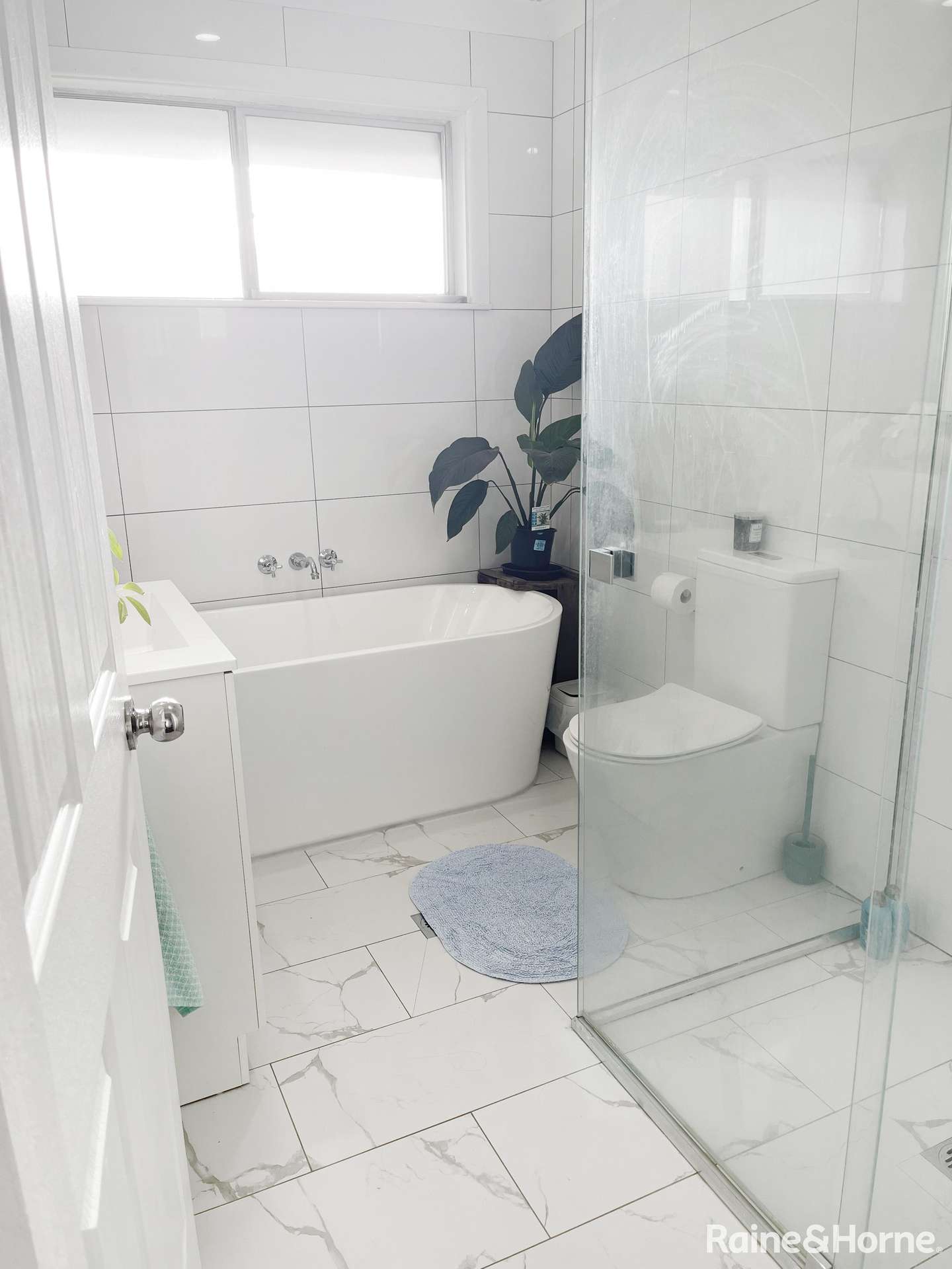278 Olympic Highway, Young For Sale by Farmbuy.com - image 8