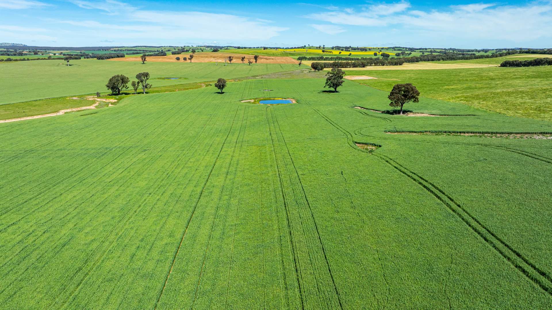 681 Emu Plains Road, Pulletop For Sale by Farmbuy.com - image 20