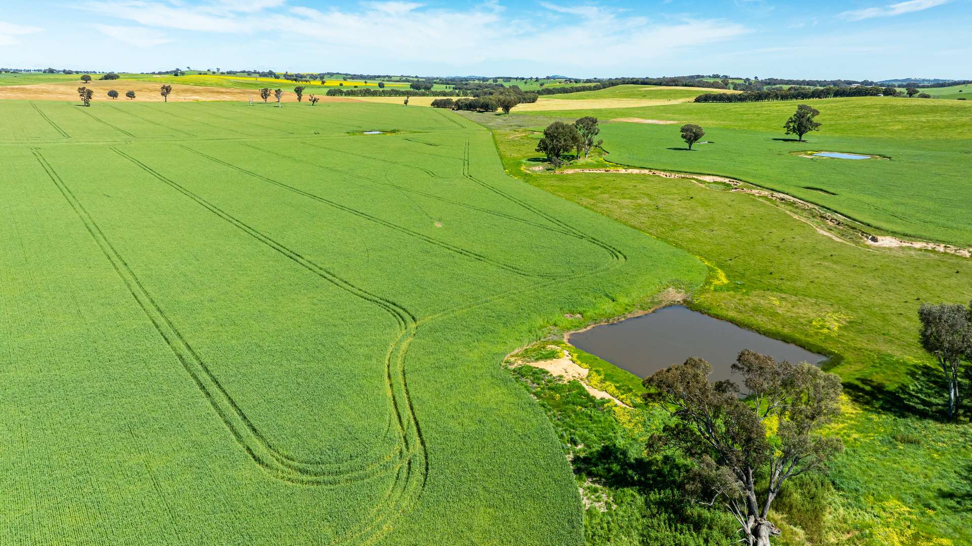 681 Emu Plains Road, Pulletop For Sale by Farmbuy.com - image 22