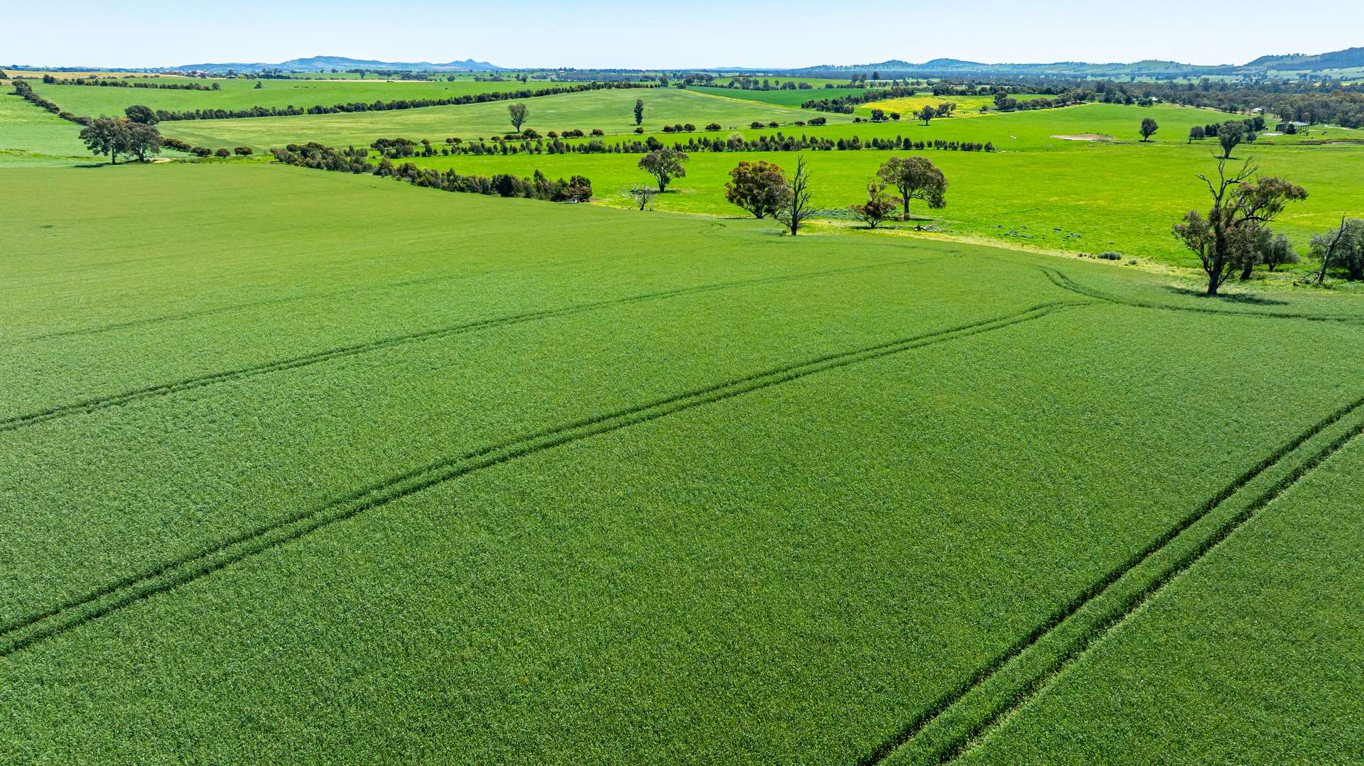 681 Emu Plains Road, Pulletop For Sale by Farmbuy.com - image 21