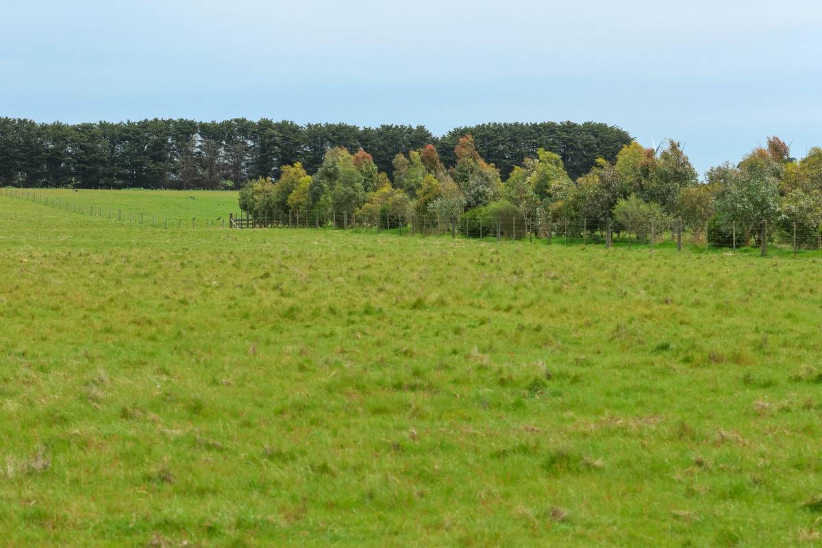 762 Moyne Falls Road, Hawkesdale For Sale by Farmbuy.com - image 24