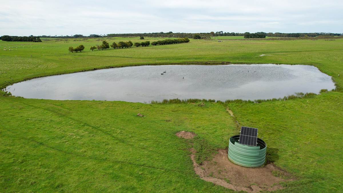 762 Moyne Falls Road, Hawkesdale For Sale by Farmbuy.com - image 10