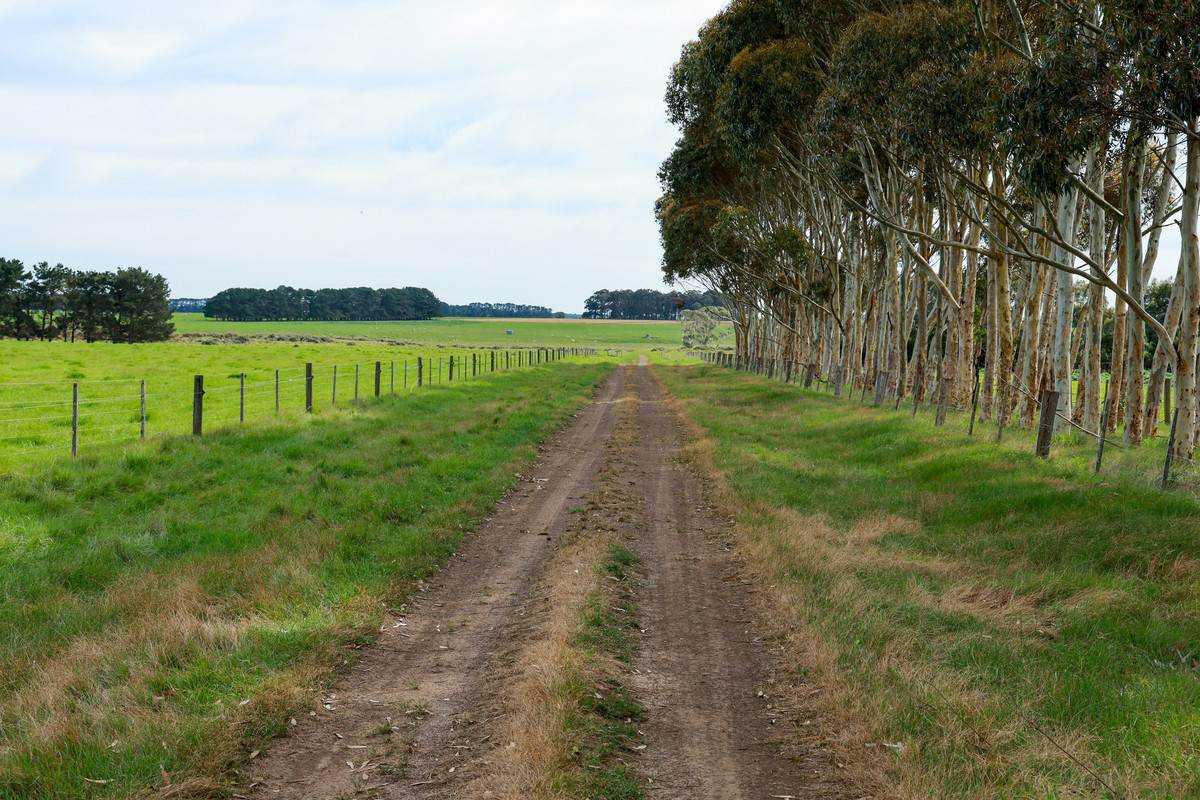762 Moyne Falls Road, Hawkesdale For Sale by Farmbuy.com - image 12
