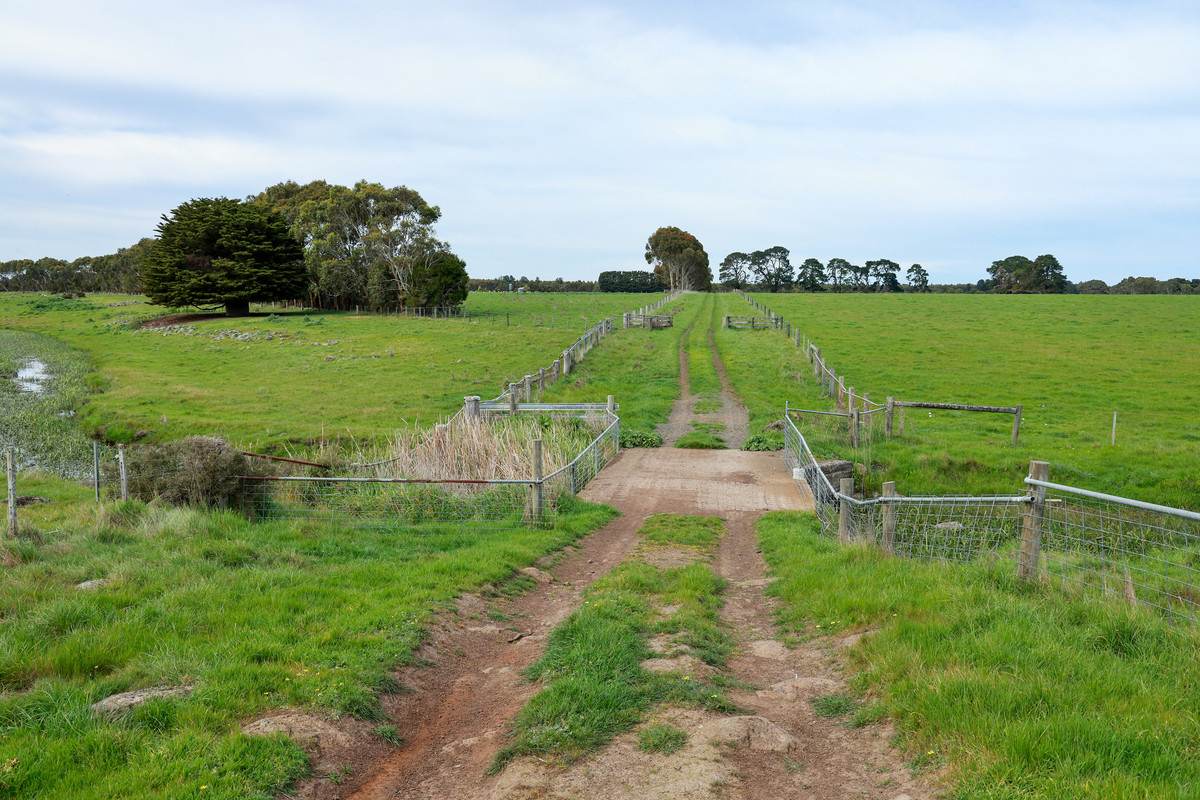 762 Moyne Falls Road, Hawkesdale For Sale by Farmbuy.com - image 11