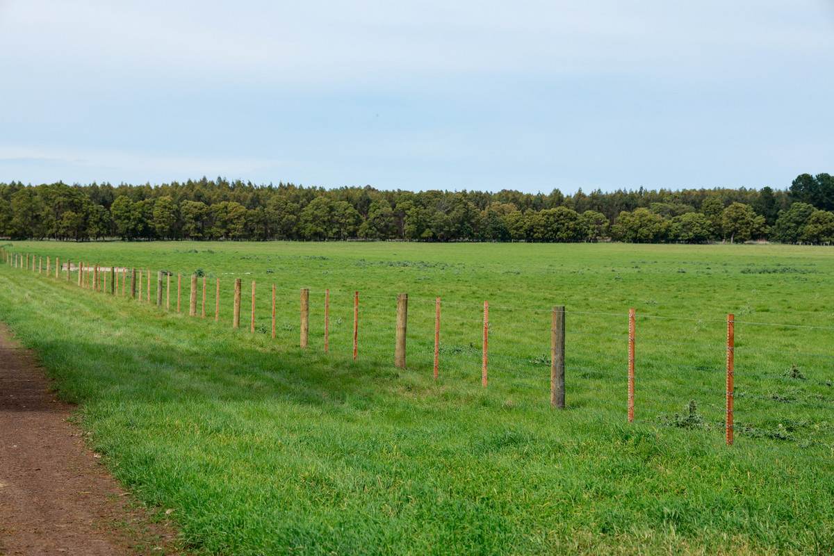 762 Moyne Falls Road, Hawkesdale For Sale by Farmbuy.com - image 13