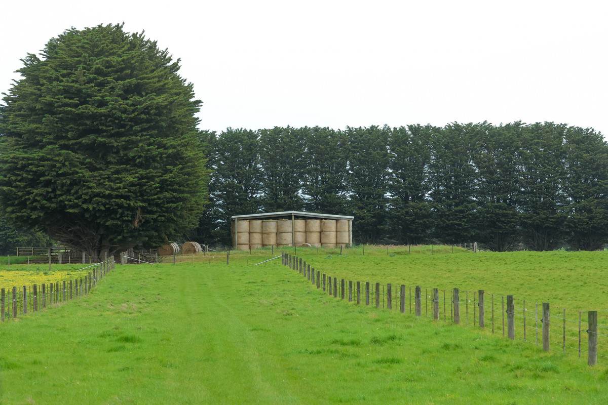762 Moyne Falls Road, Hawkesdale For Sale by Farmbuy.com - image 26