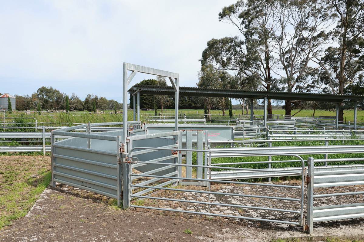 762 Moyne Falls Road, Hawkesdale For Sale by Farmbuy.com - image 17