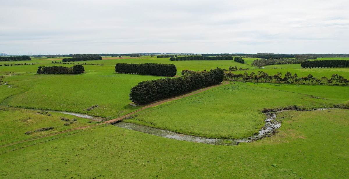 762 Moyne Falls Road, Hawkesdale For Sale by Farmbuy.com - image 3