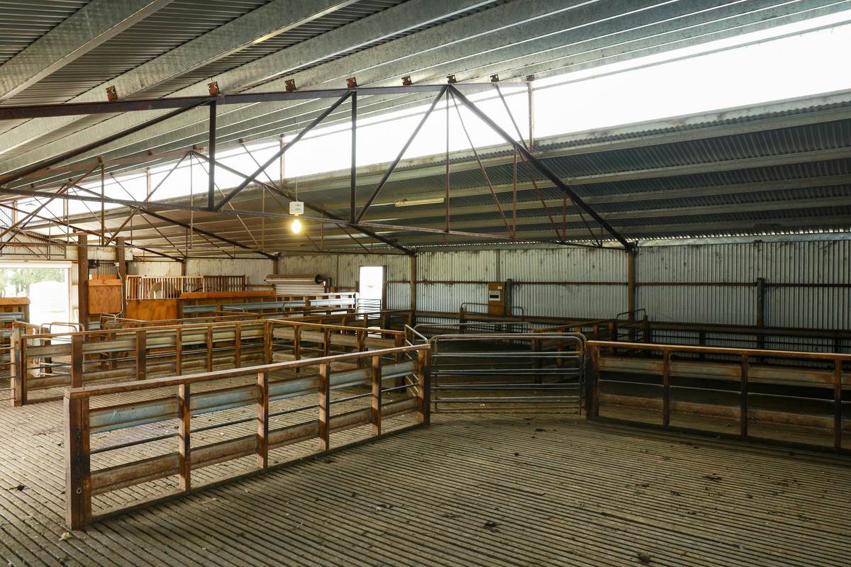 762 Moyne Falls Road, Hawkesdale For Sale by Farmbuy.com - image 15
