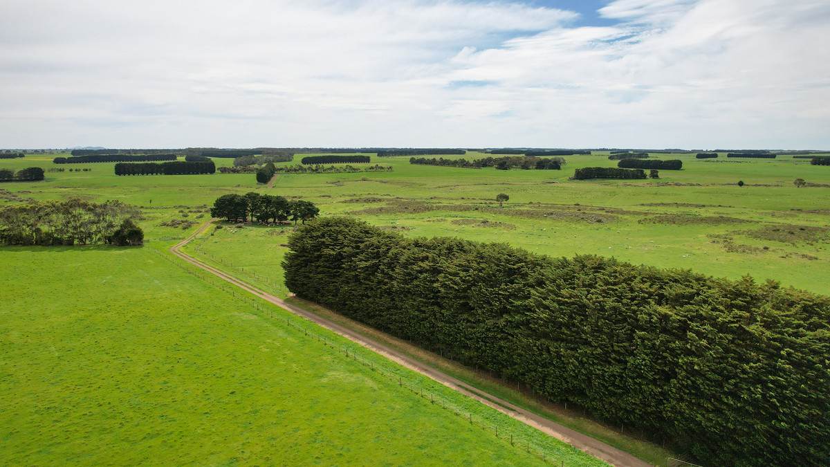 762 Moyne Falls Road, Hawkesdale For Sale by Farmbuy.com - image 20