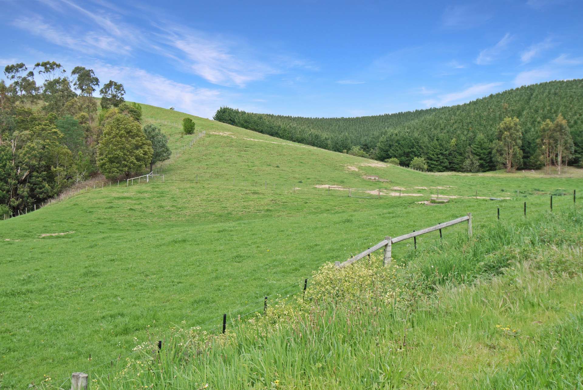 190 Jack River Valley Road, Jack River For Sale by Farmbuy.com - image 22