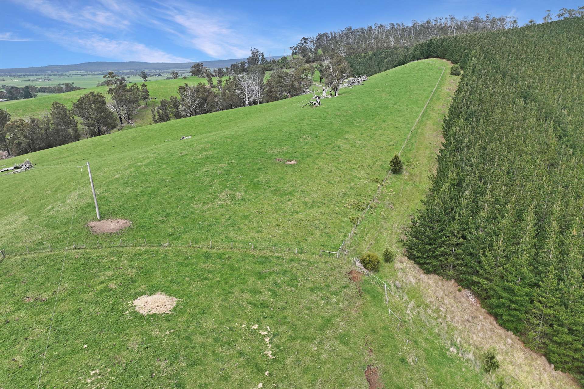 190 Jack River Valley Road, Jack River For Sale by Farmbuy.com - image 26
