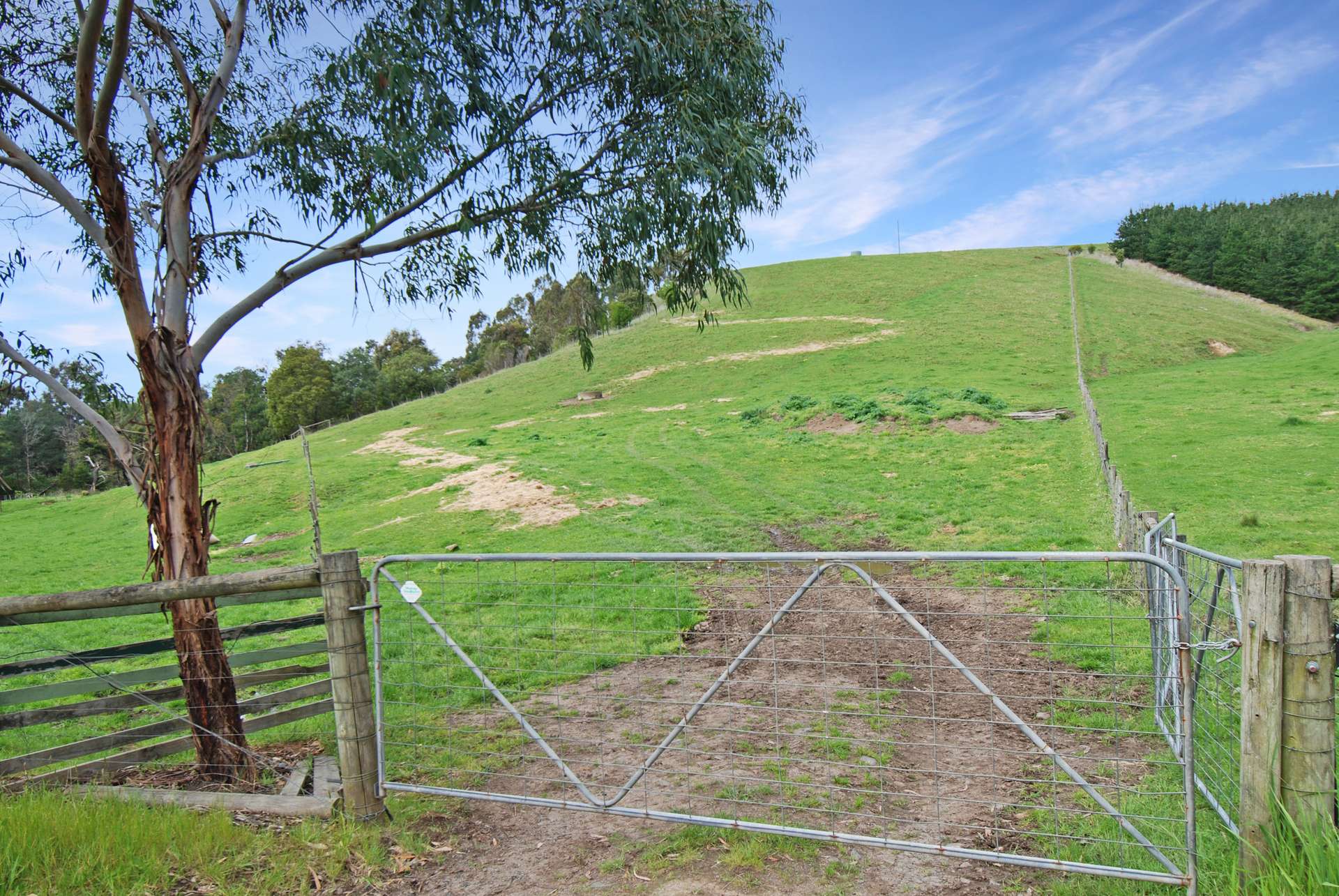 190 Jack River Valley Road, Jack River For Sale by Farmbuy.com - image 20