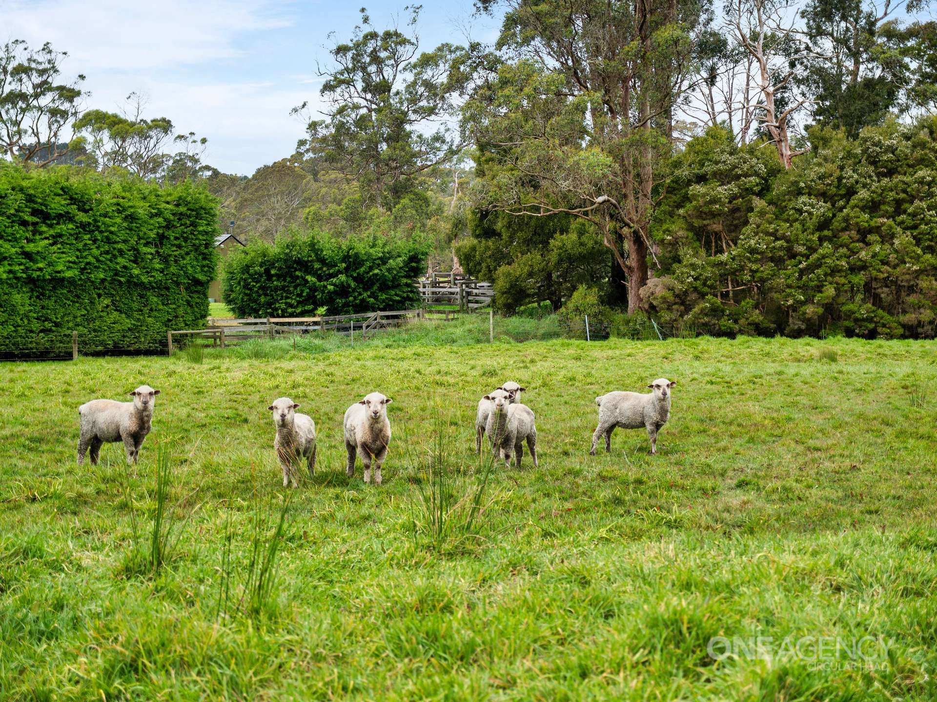 79 Browns Road, Smithton For Sale by Farmbuy.com - image 25