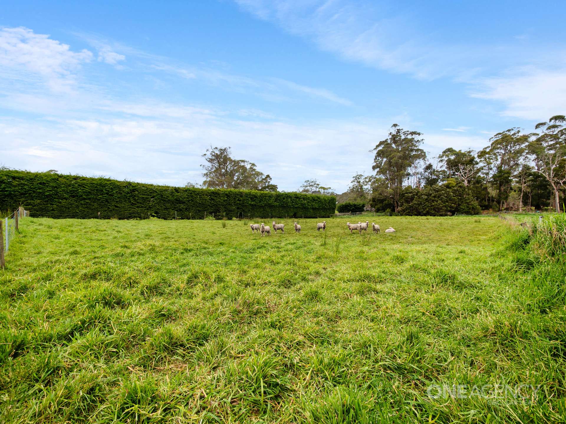 79 Browns Road, Smithton For Sale by Farmbuy.com - image 27