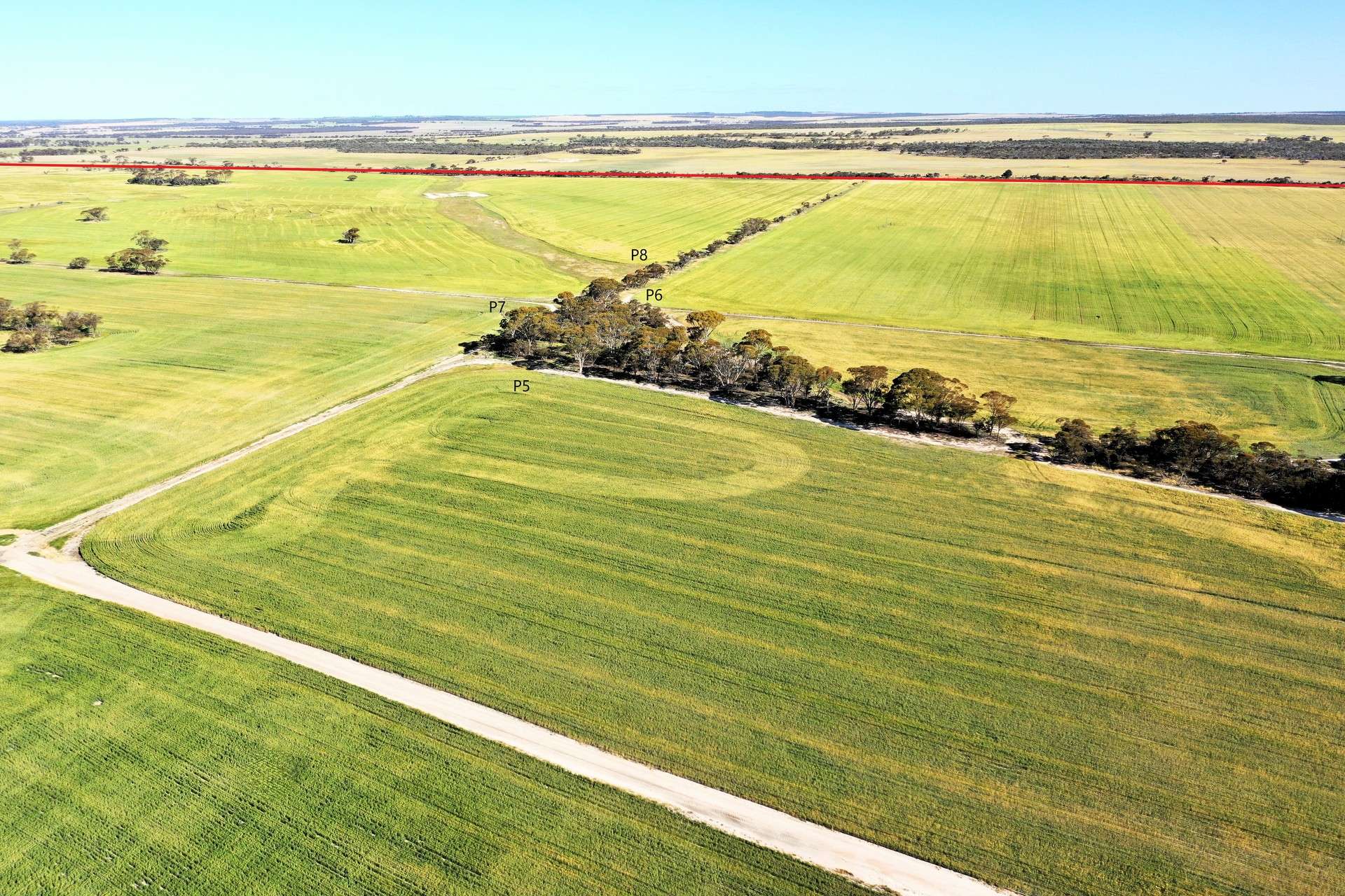 1453 Fisher Road, North Burngup For Sale by Farmbuy.com - image 15