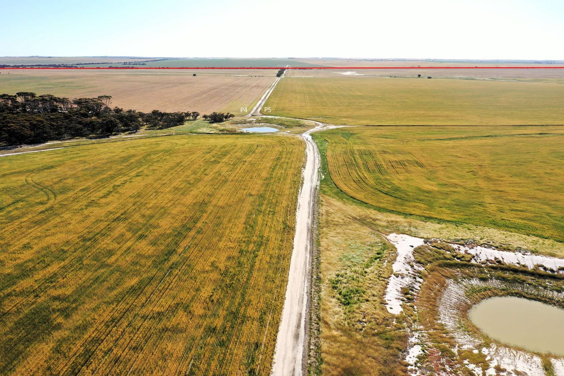 1453 Fisher Road, North Burngup For Sale by Farmbuy.com - image 18