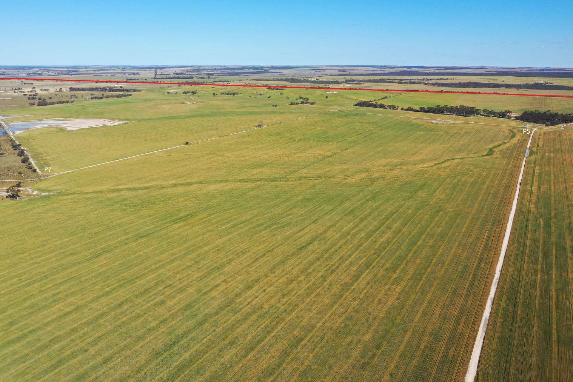 1453 Fisher Road, North Burngup For Sale by Farmbuy.com - image 12