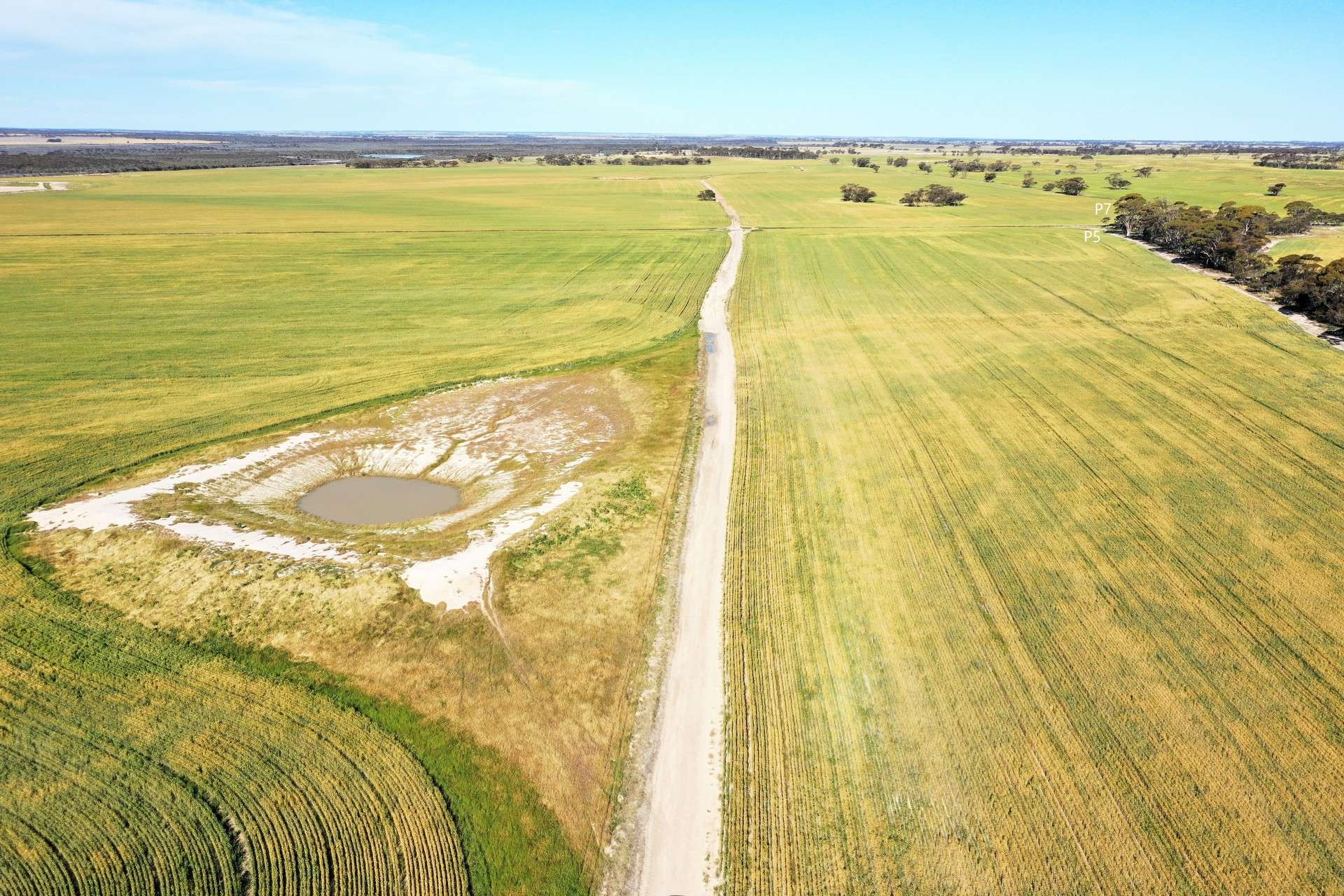 1453 Fisher Road, North Burngup For Sale by Farmbuy.com - image 17