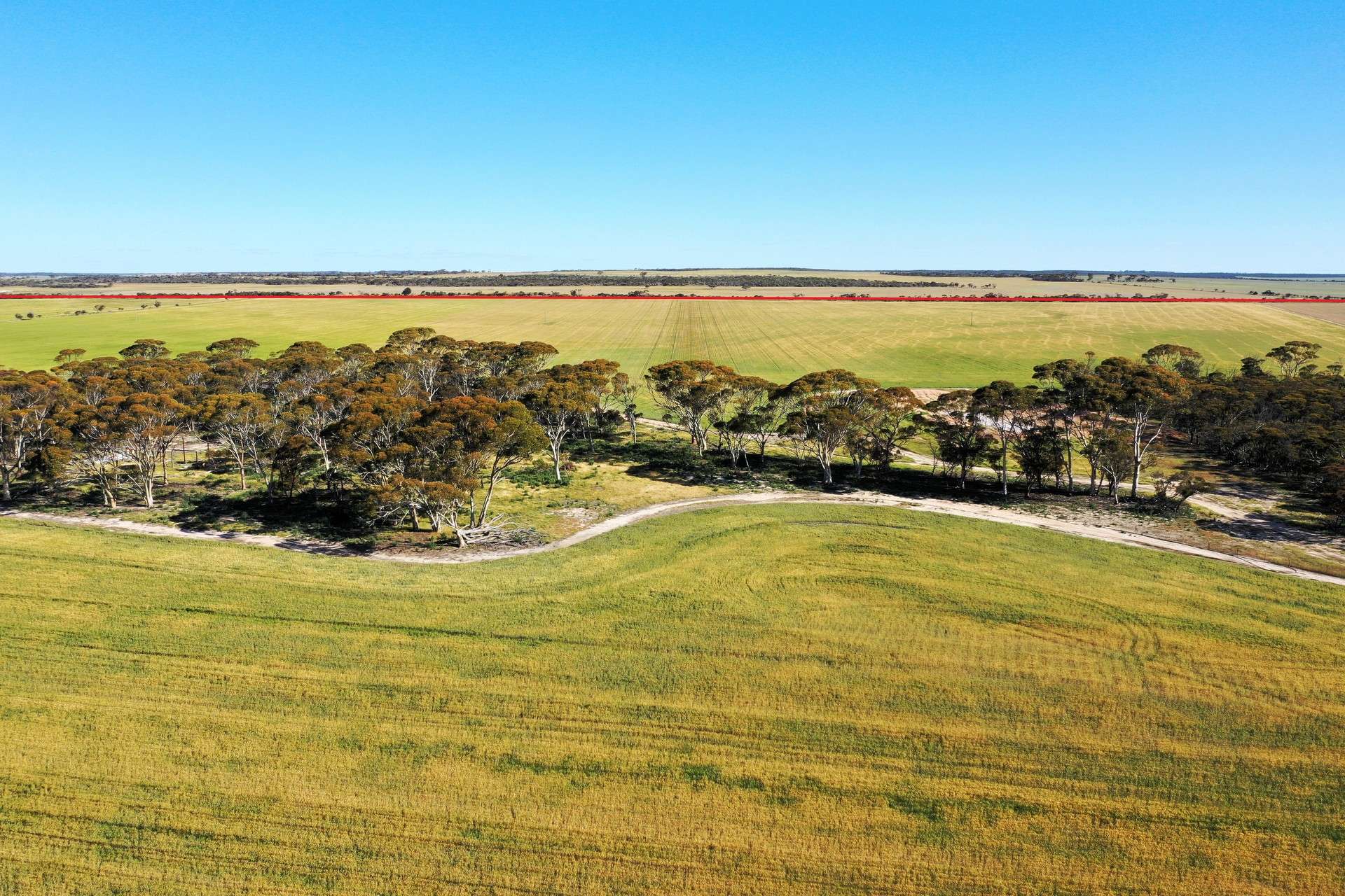 1453 Fisher Road, North Burngup For Sale by Farmbuy.com - image 25