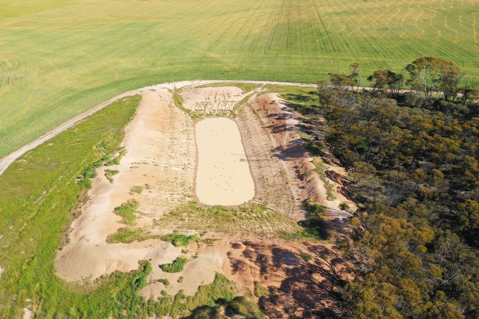 1453 Fisher Road, North Burngup For Sale by Farmbuy.com - image 16