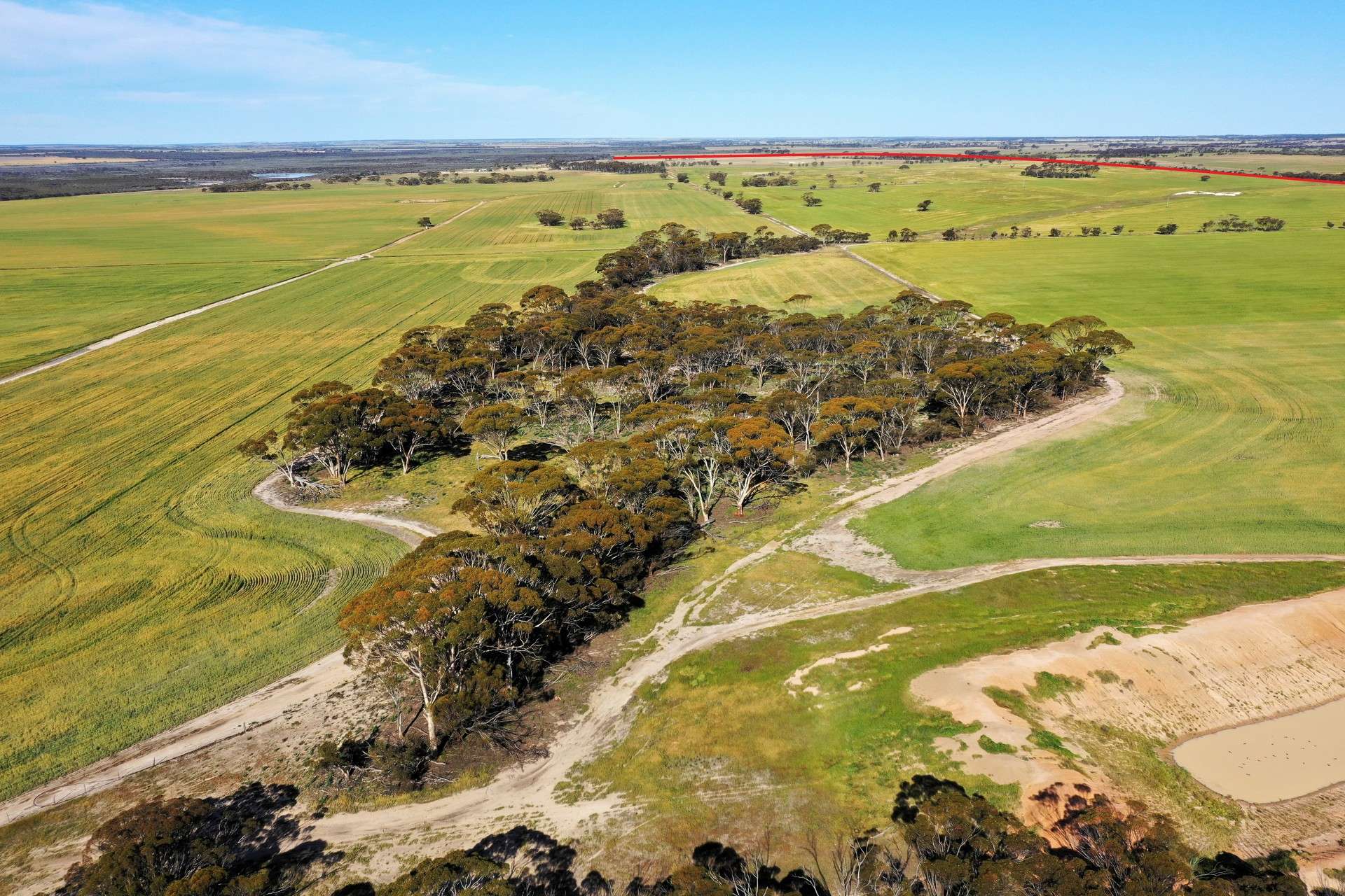 1453 Fisher Road, North Burngup For Sale by Farmbuy.com - image 24
