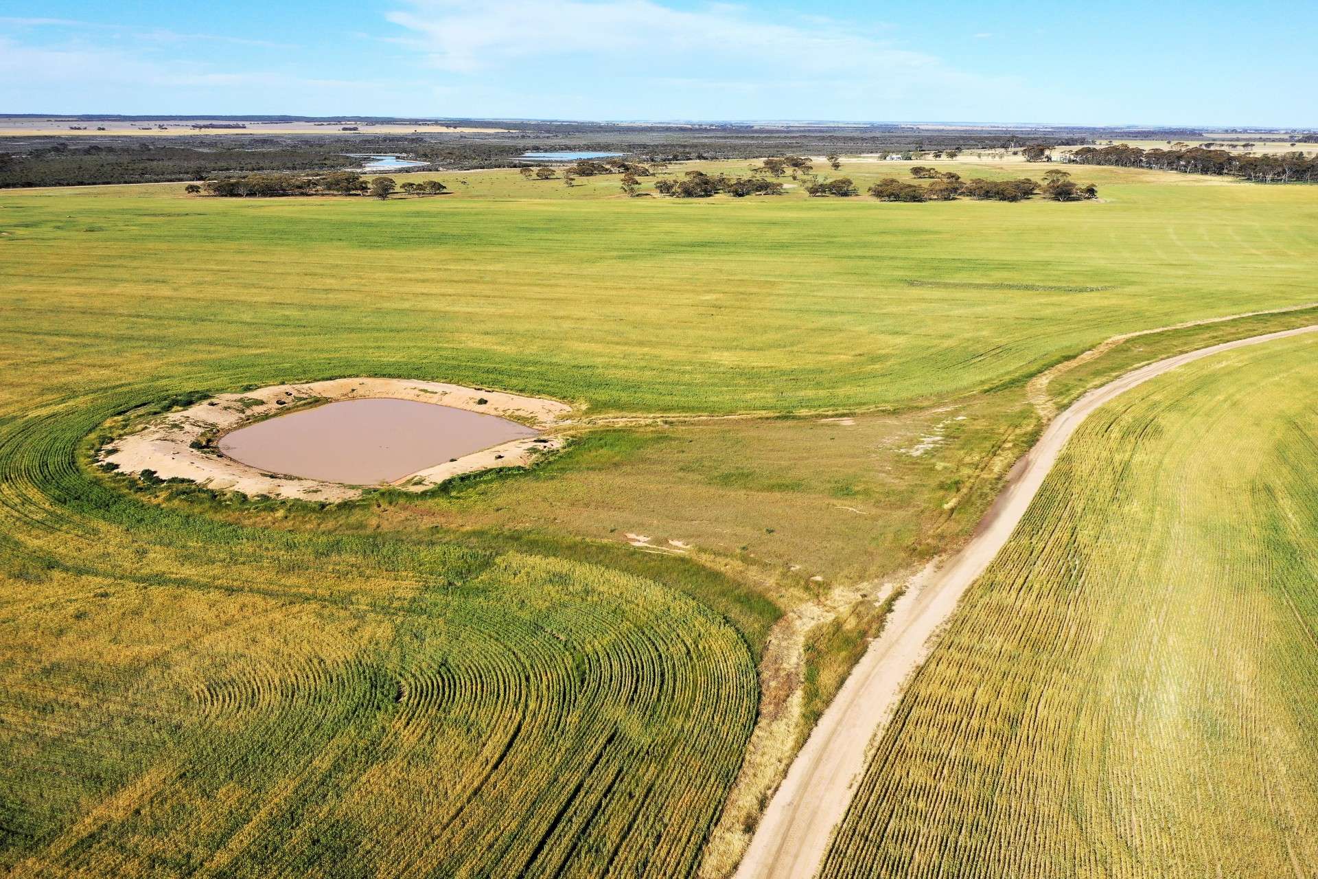 1453 Fisher Road, North Burngup For Sale by Farmbuy.com - image 19