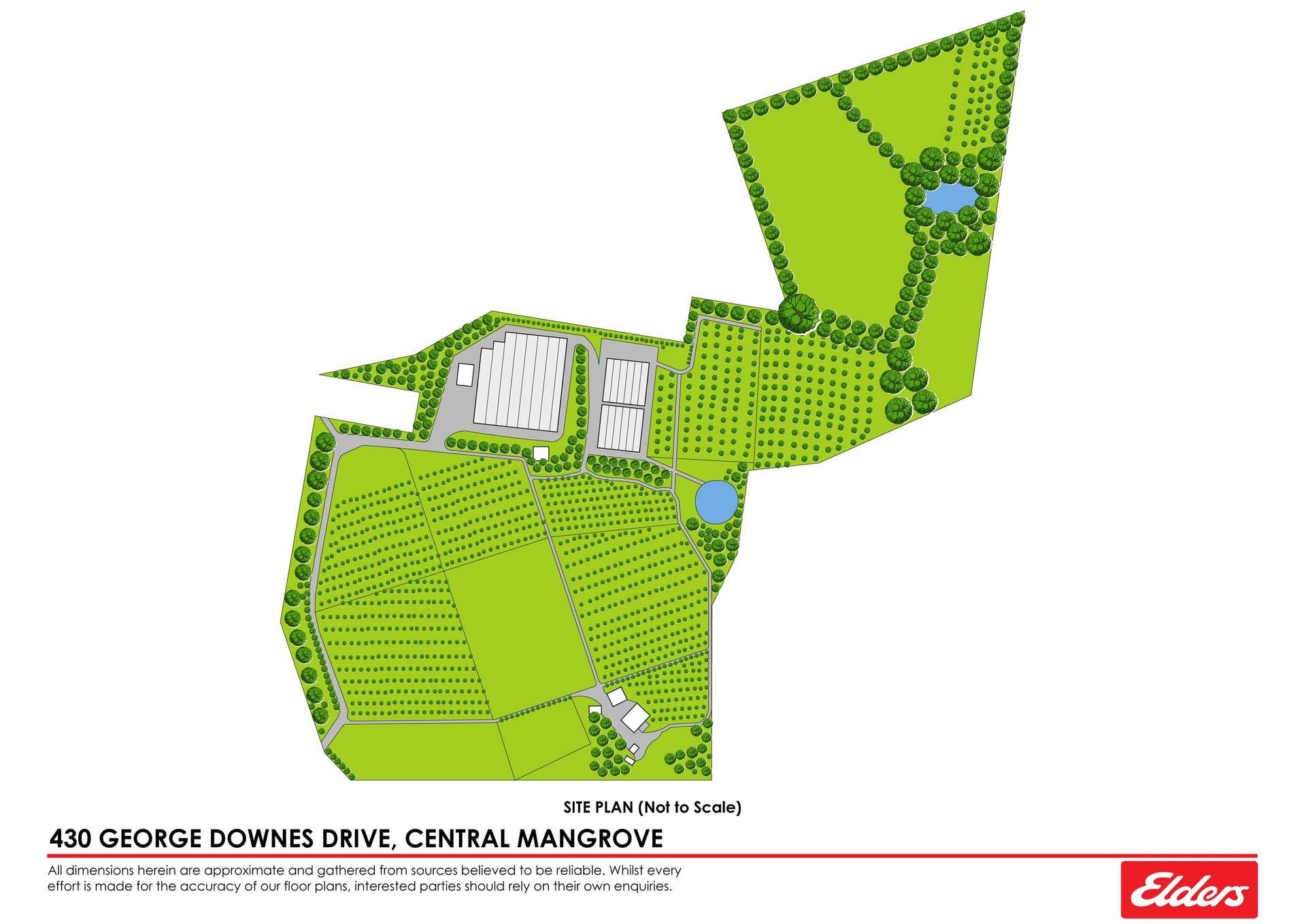 430 George Downes Drive, Central Mangrove For Sale by Farmbuy.com - floorplan 1